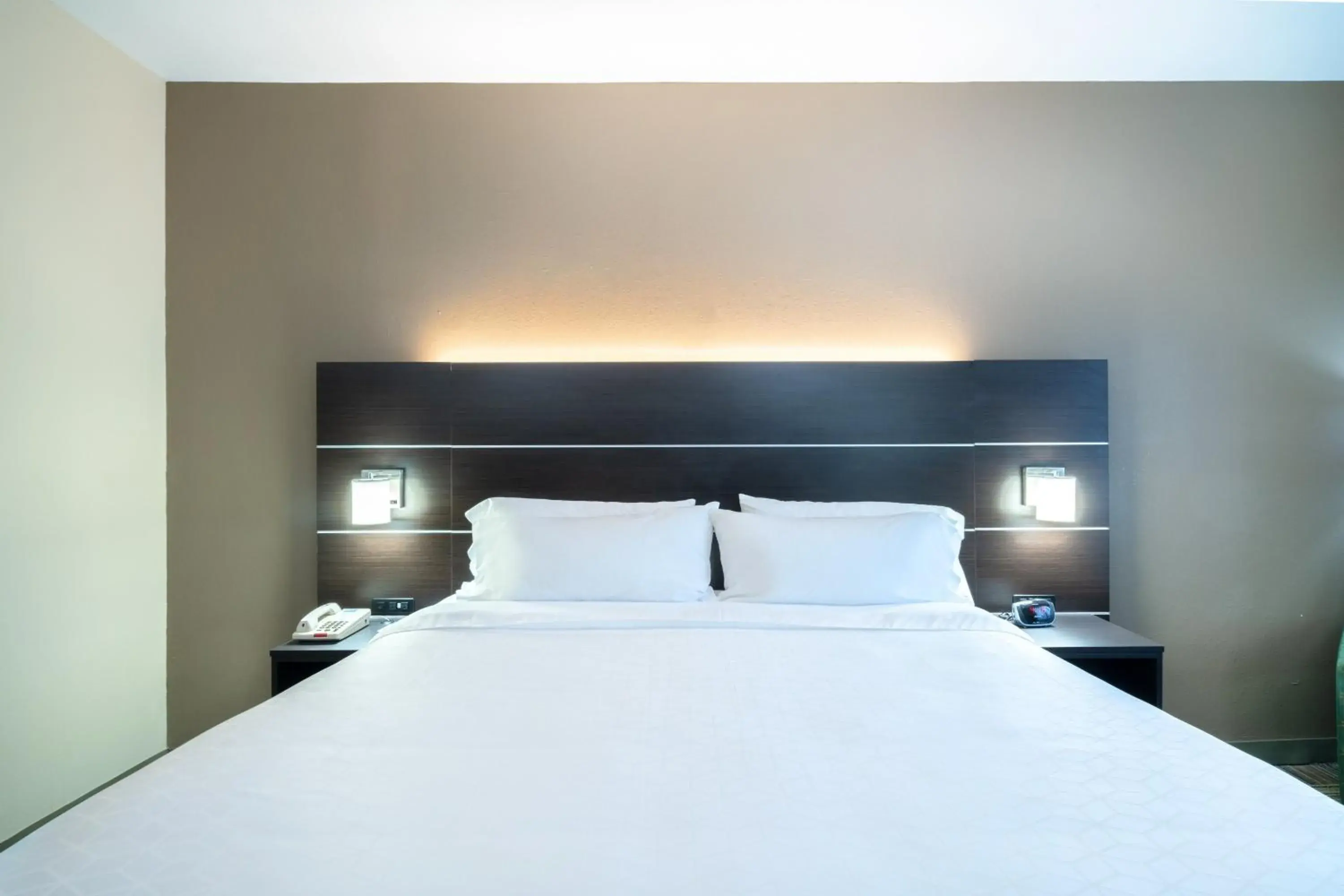 Standard King Room with Mobility Accessible Roll-In Shower in Holiday Inn Express Hotel & Suites Ashland by IHG Standard King Room with Mobility Accessible Roll-In Shower in Holiday Inn Express Hotel & Suites Ashland by IHG