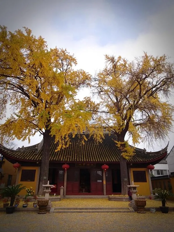 Suzhou Blue Gate Youth Hostel