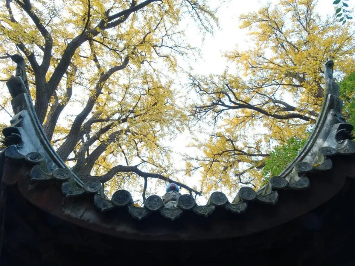 Suzhou Blue Gate Youth Hostel