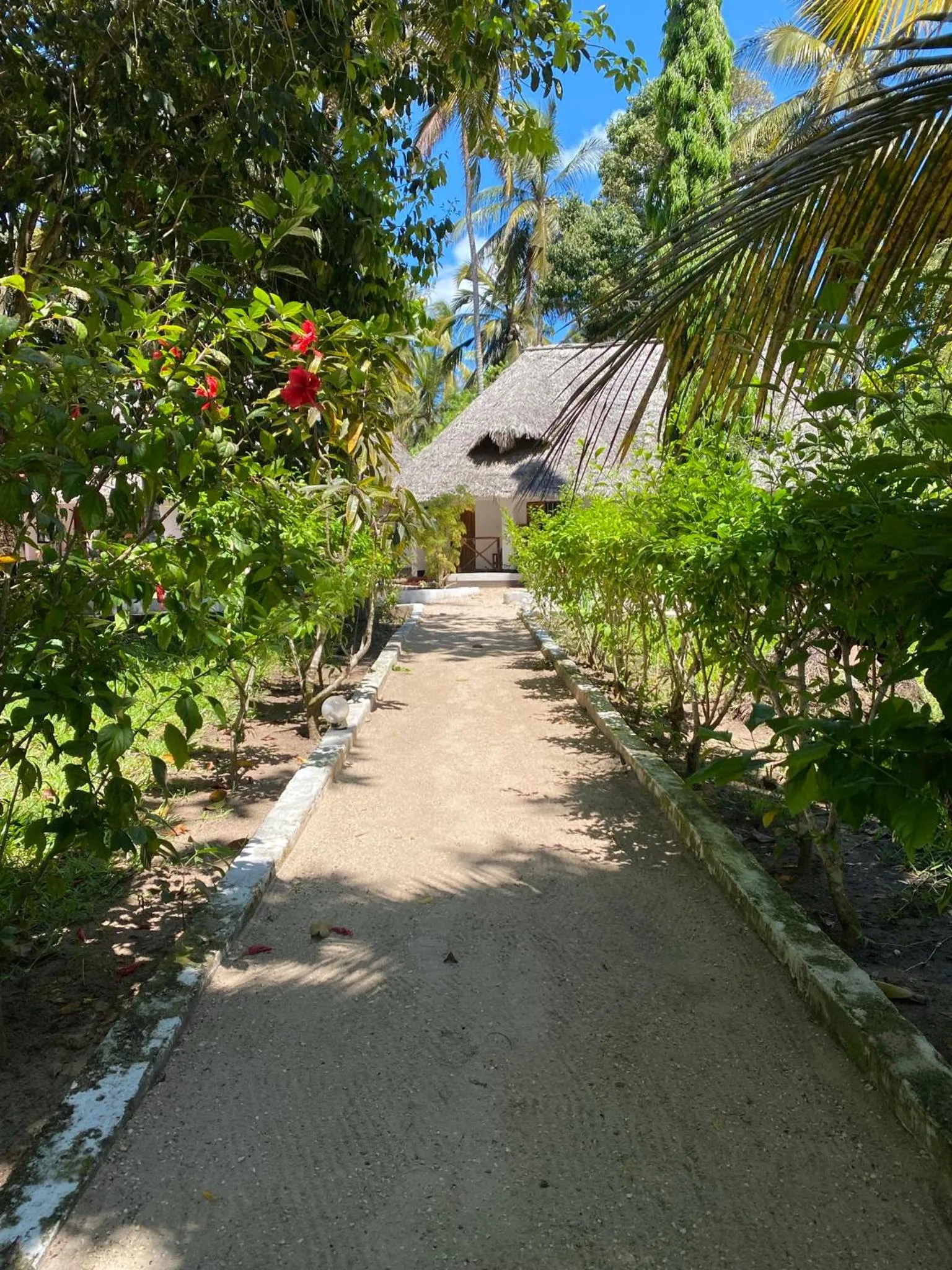 Garden view in Menai Bay Beach Bungalows