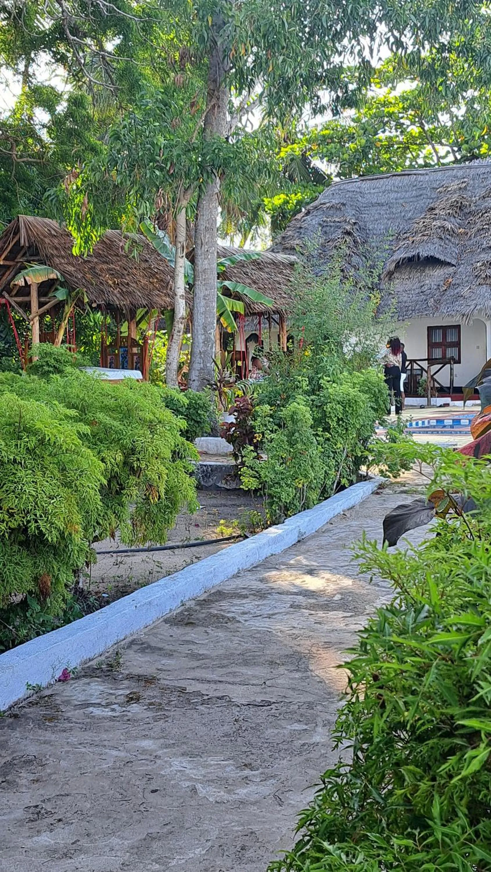 Natural landscape in Menai Bay Beach Bungalows