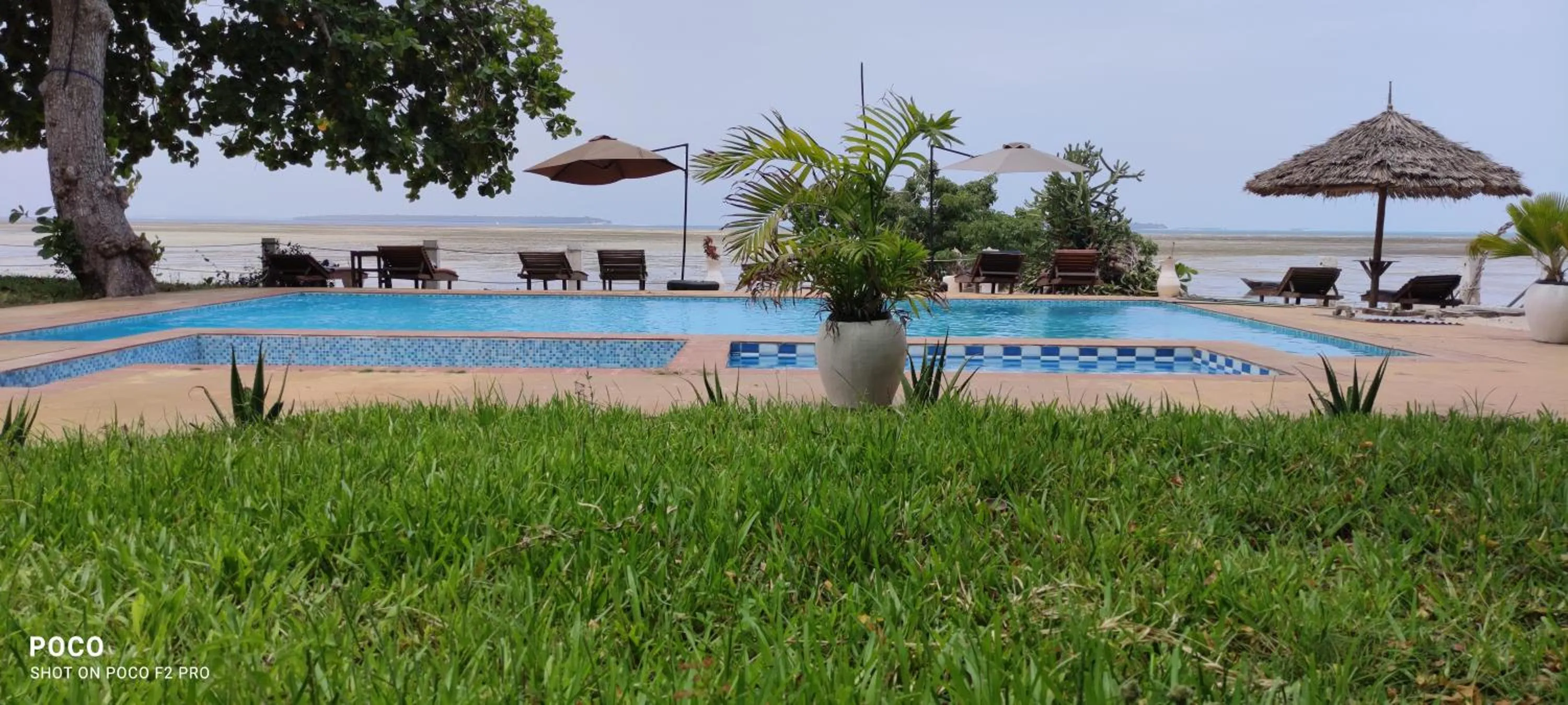 Pool view in Menai Bay Beach Bungalows