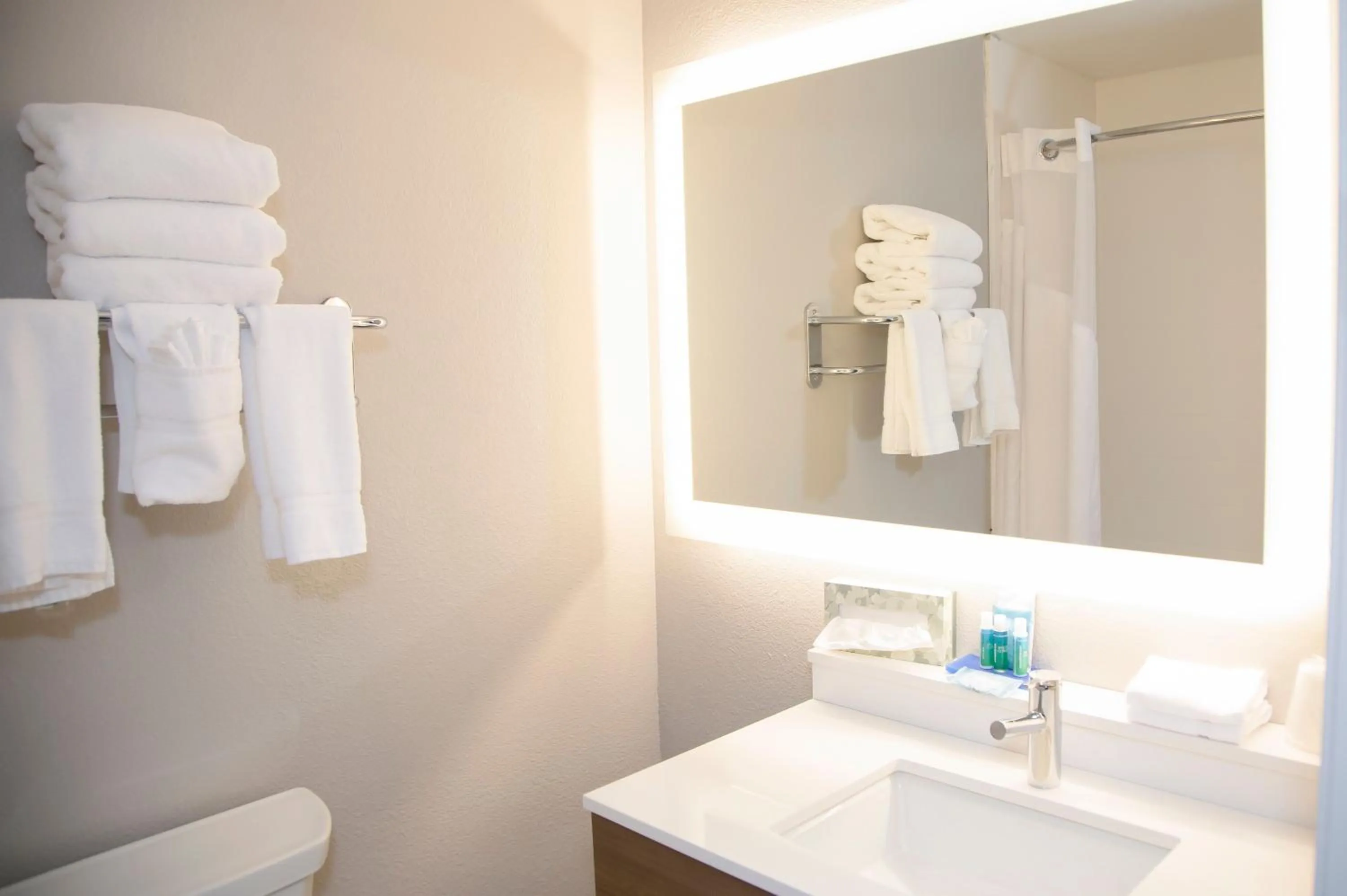 Bathroom in Holiday Inn Express & Suites Colorado Springs North by IHG