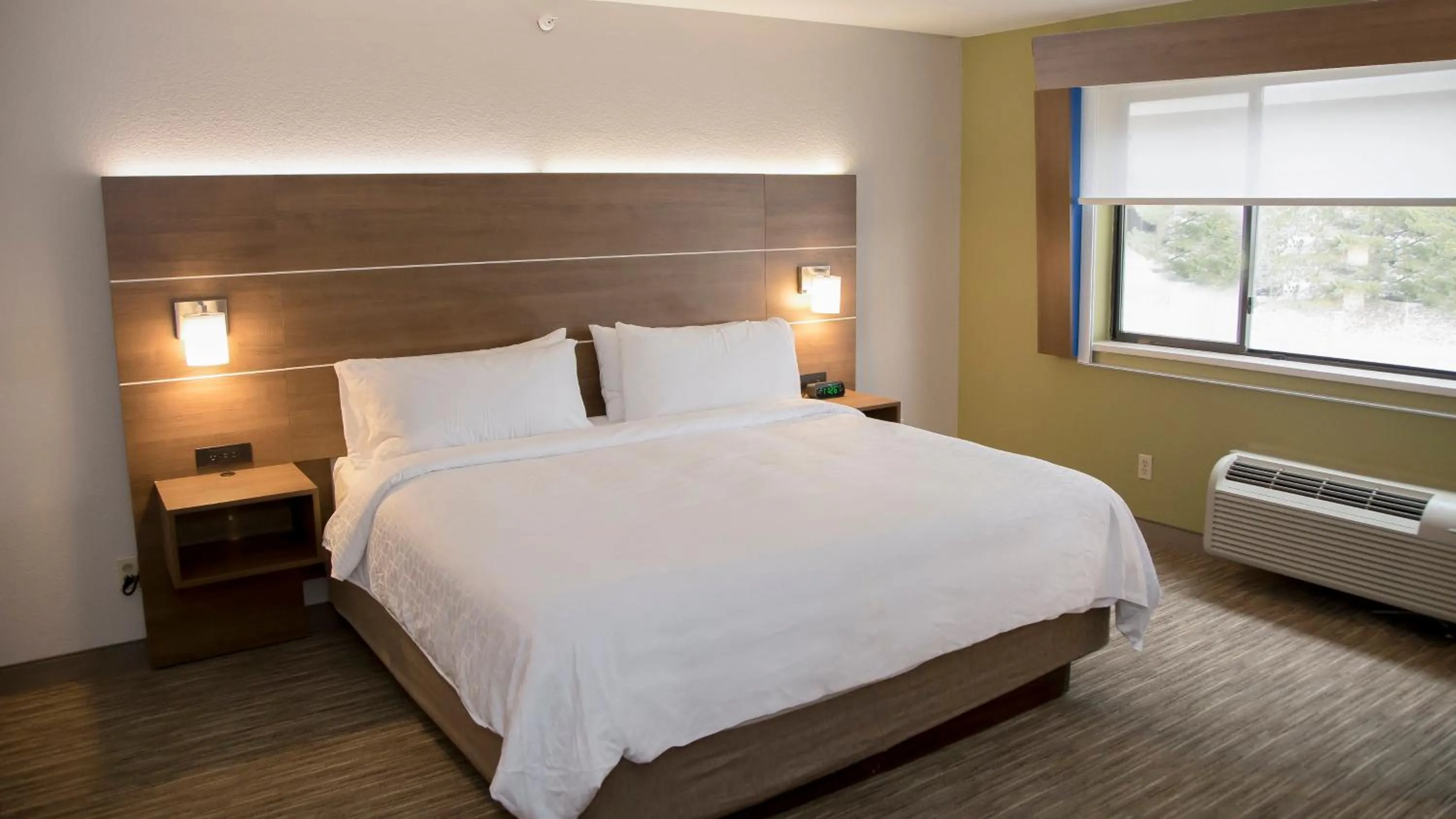 Photo of the whole room in Holiday Inn Express & Suites Colorado Springs North by IHG