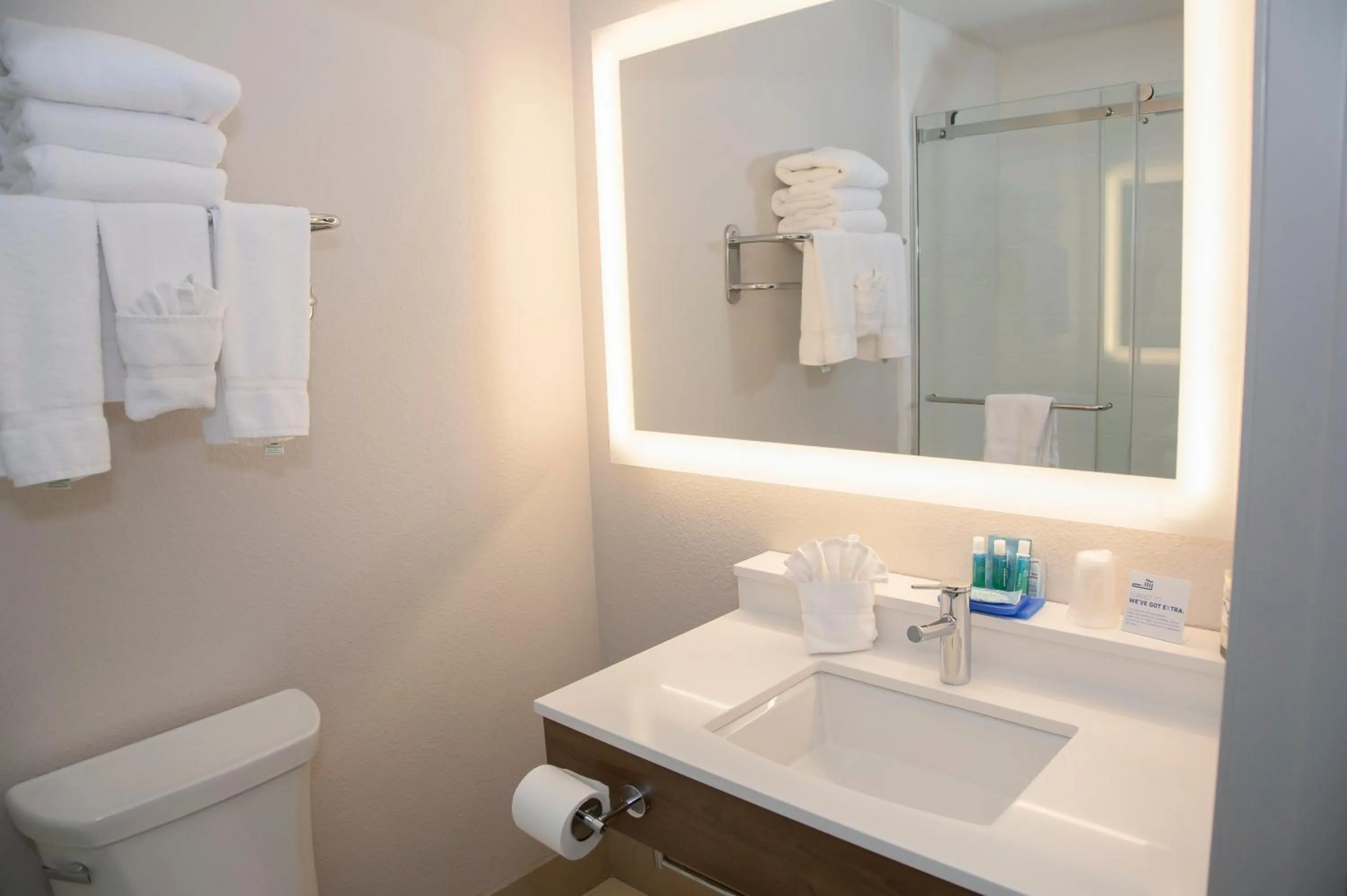 Bathroom in Holiday Inn Express & Suites Colorado Springs North by IHG