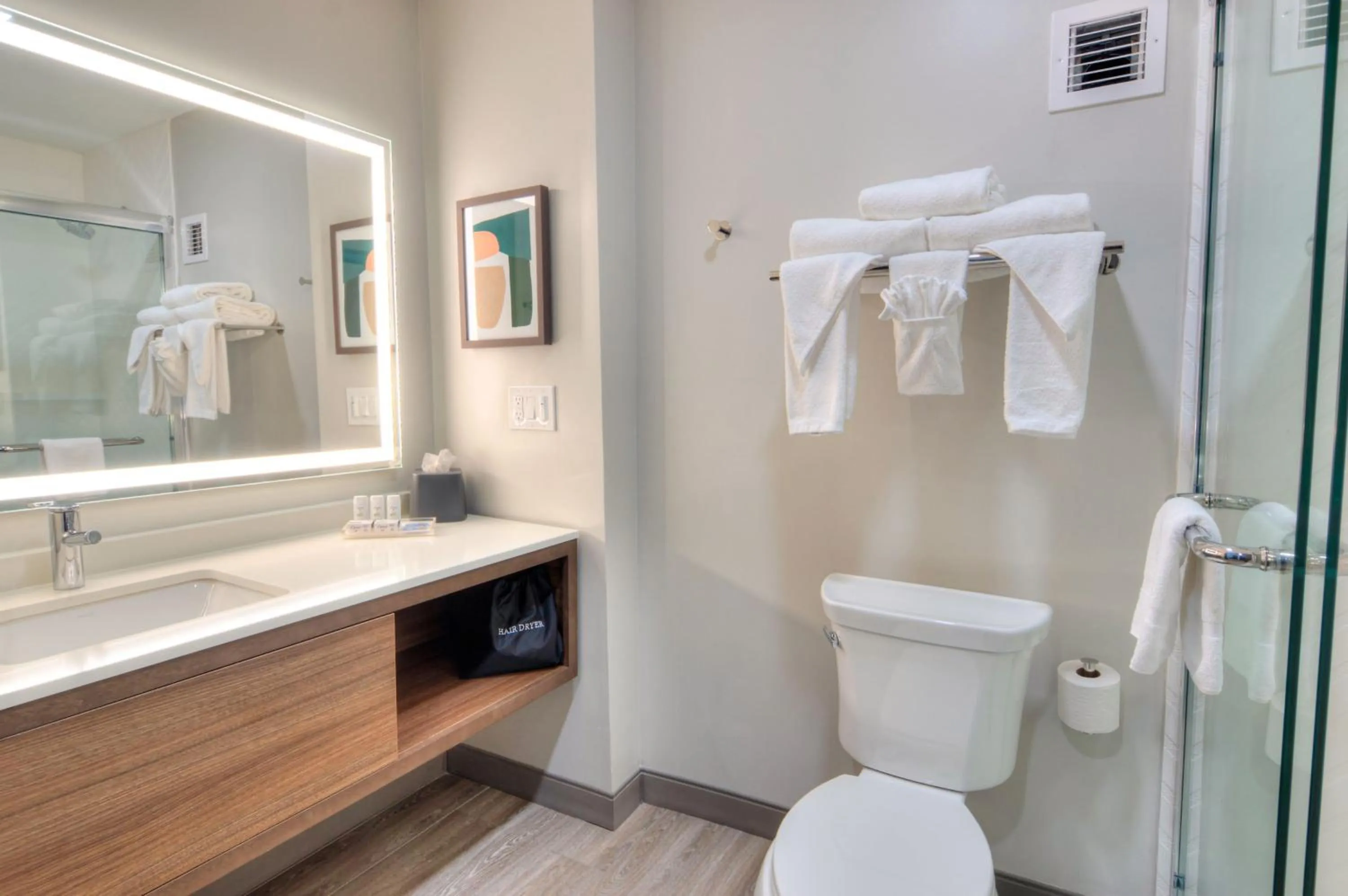 Bathroom in Holiday Inn Gainesville-University Center by IHG