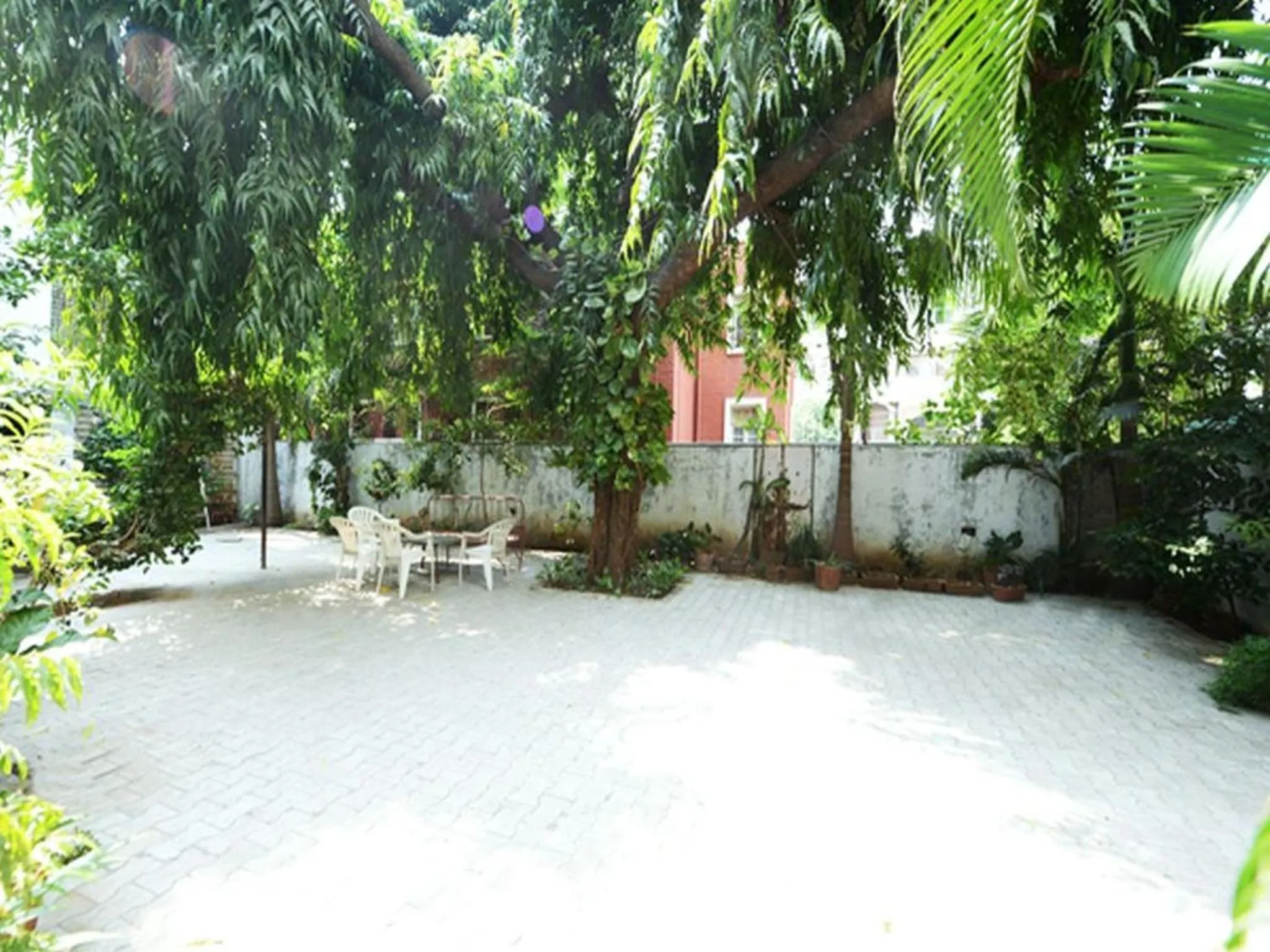 Garden in Hotel Rahi Inn