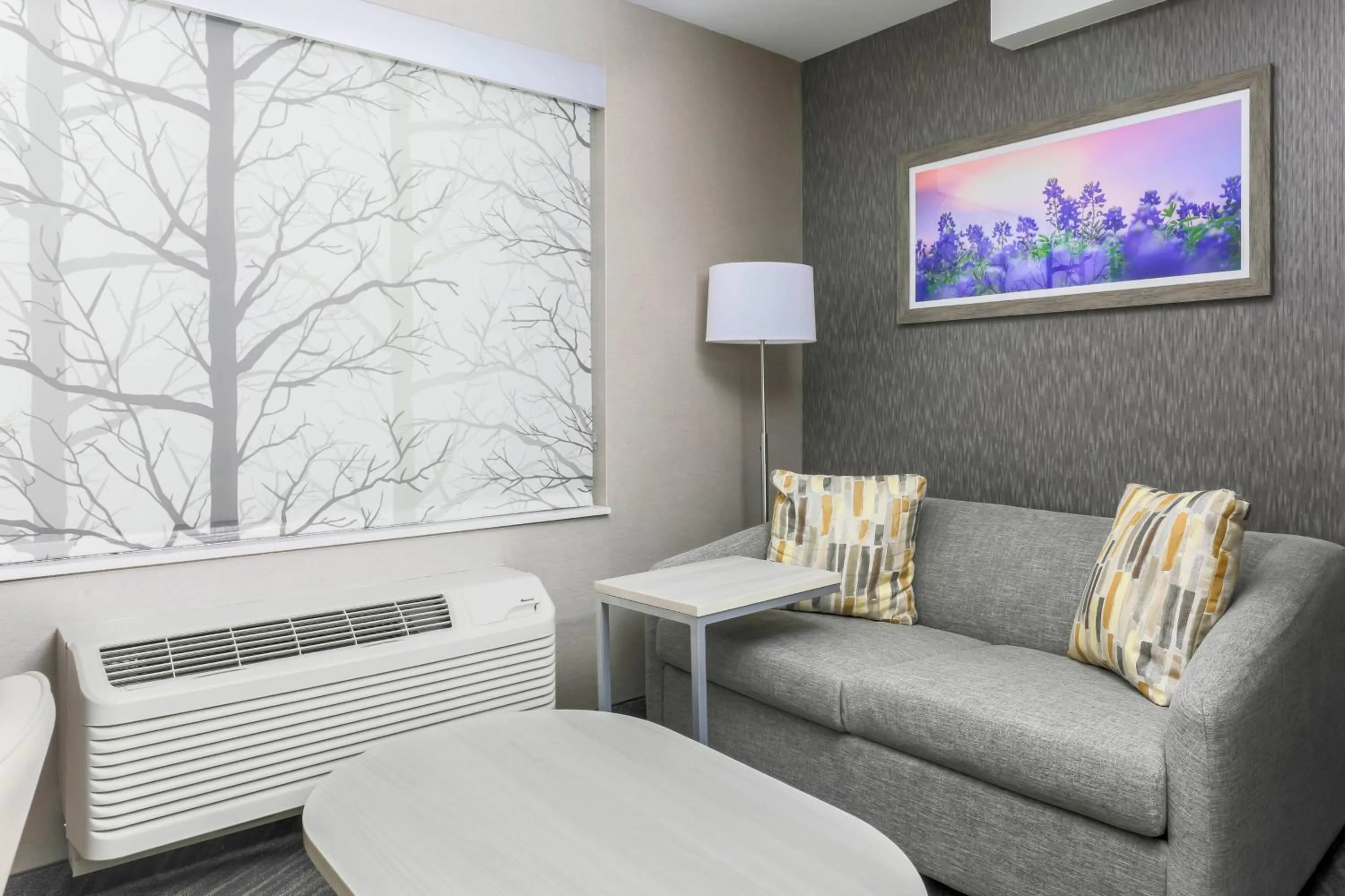 Photo of the whole room in Fairfield by Marriott Inn & Suites Amarillo Central