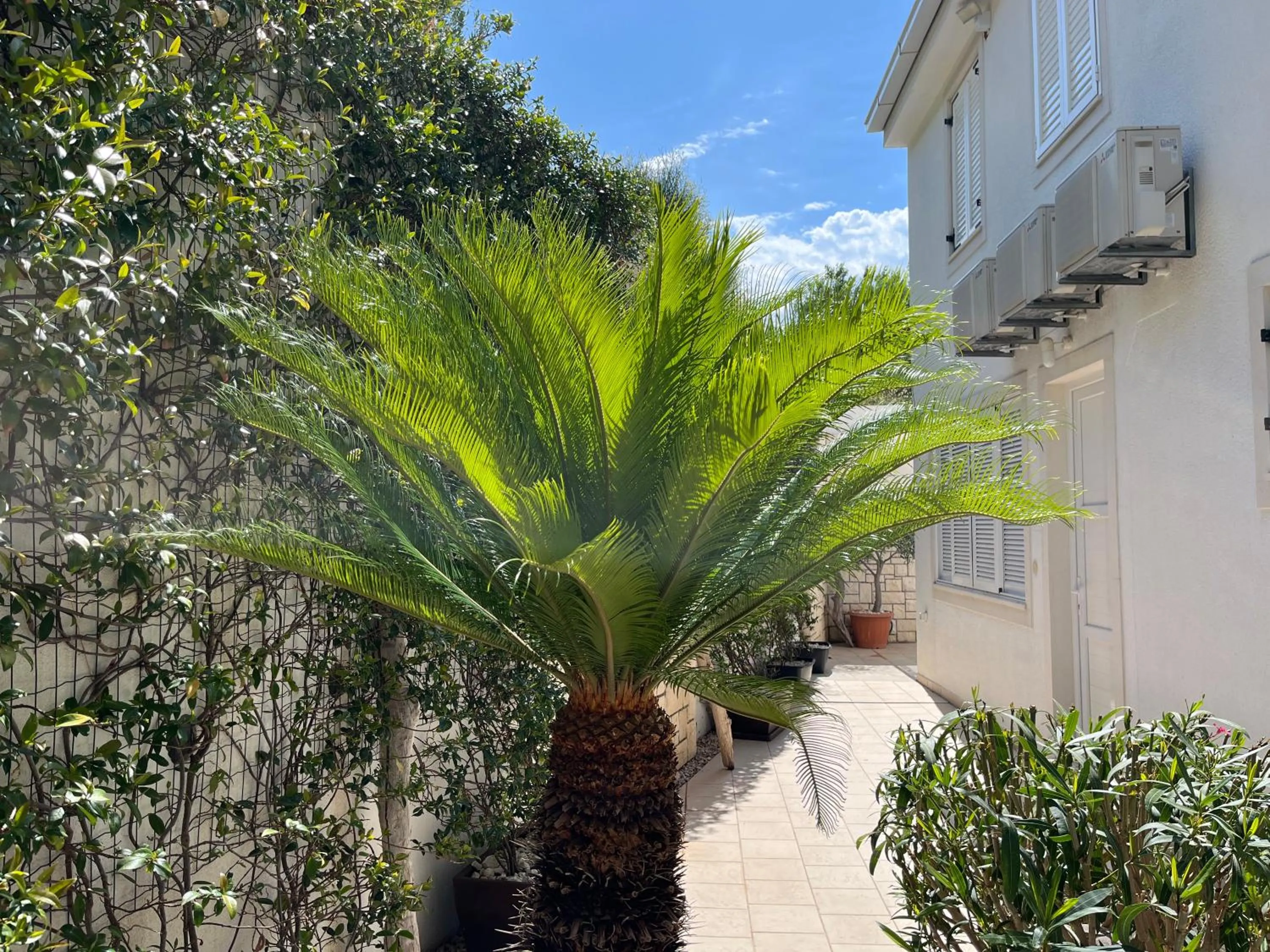 Belado Residence Bol