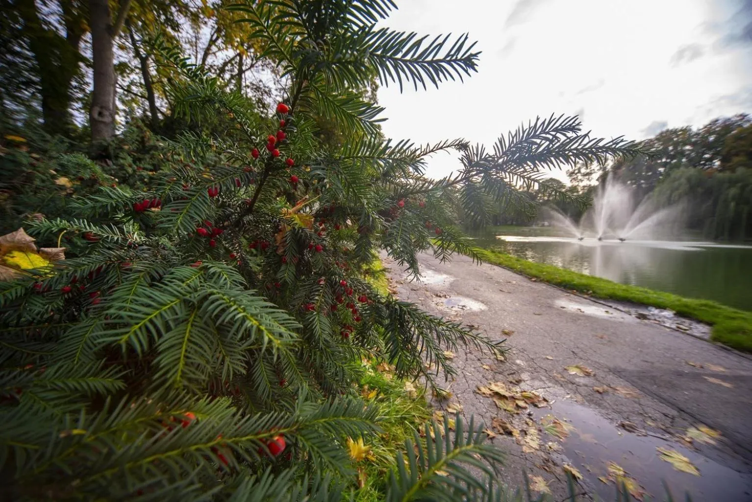 Spring in Hotel Dal Kielce