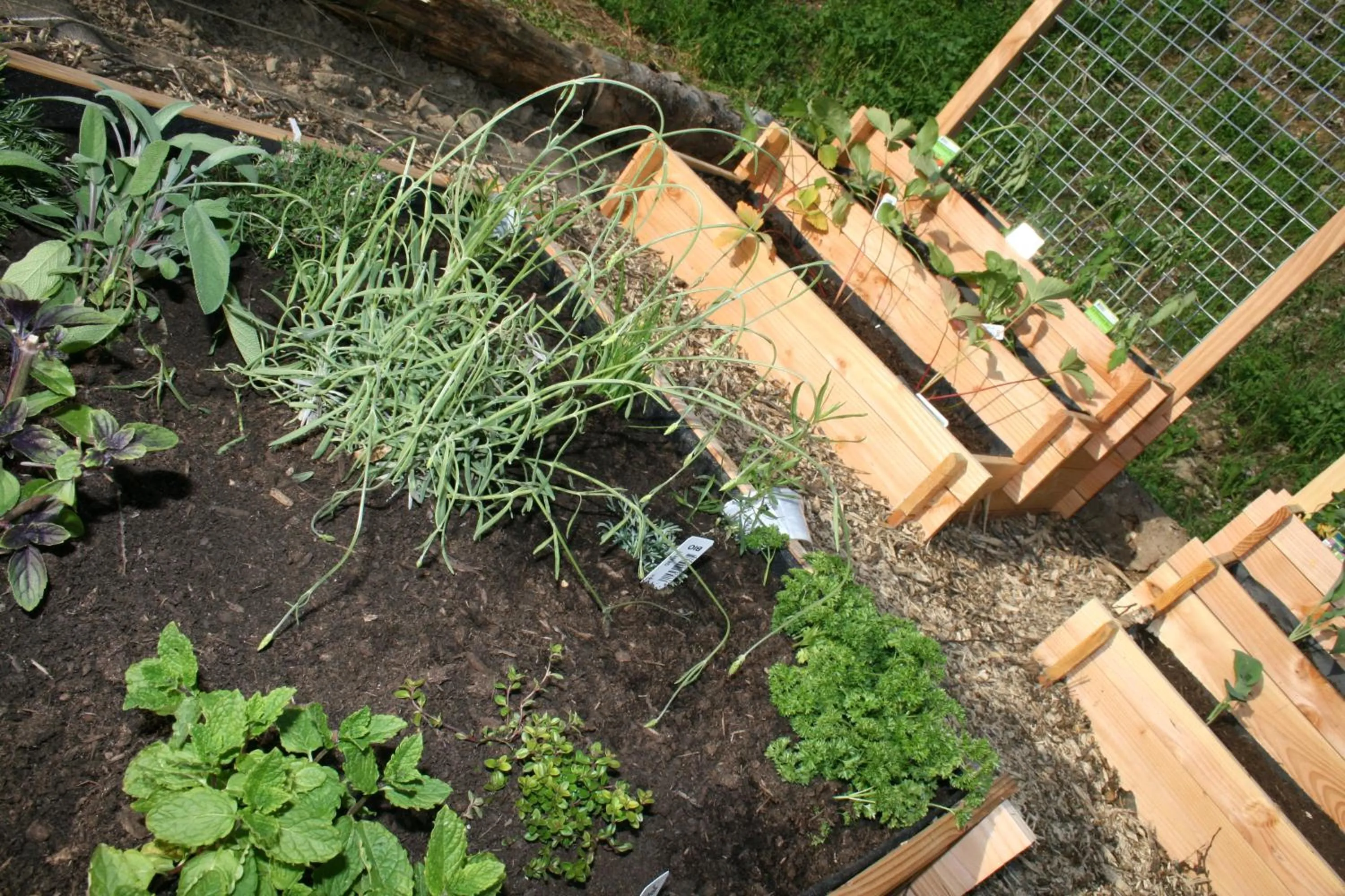 Garden in La Croix de Savoie & Spa