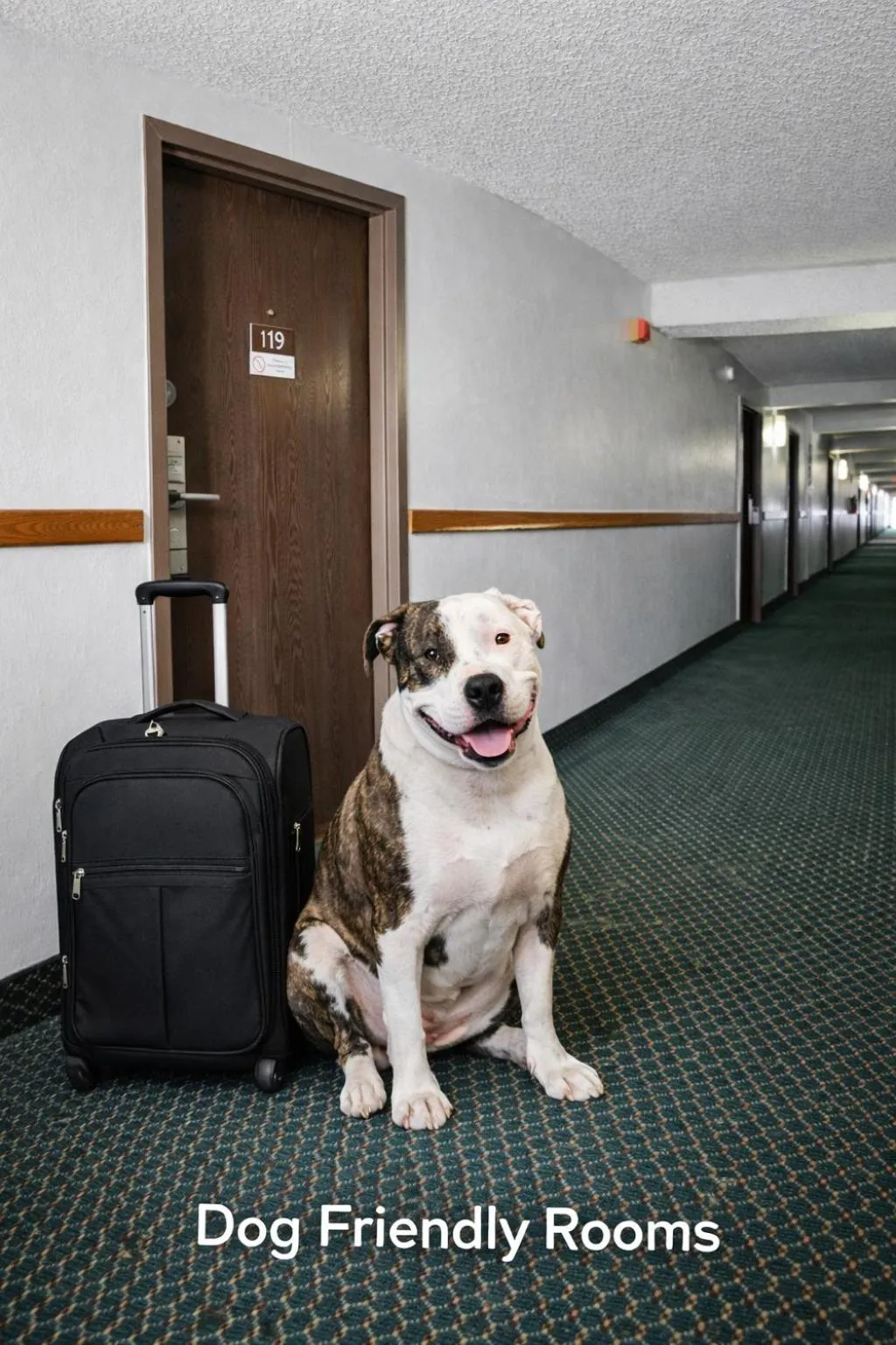 Pets in 1st Choice Inn Rawlins