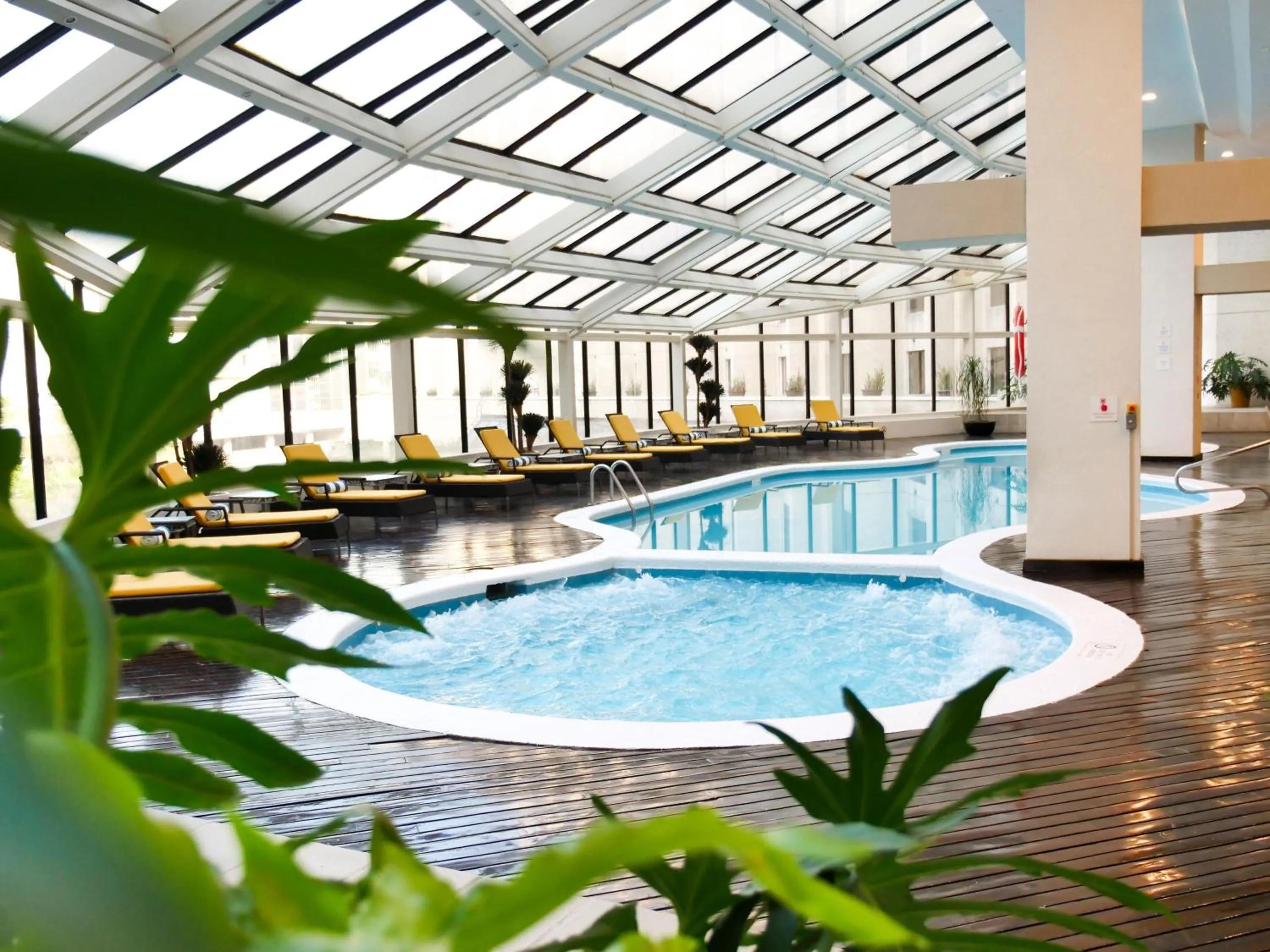 Pool view in MS Milenium Monterrey Curio Collection by Hilton