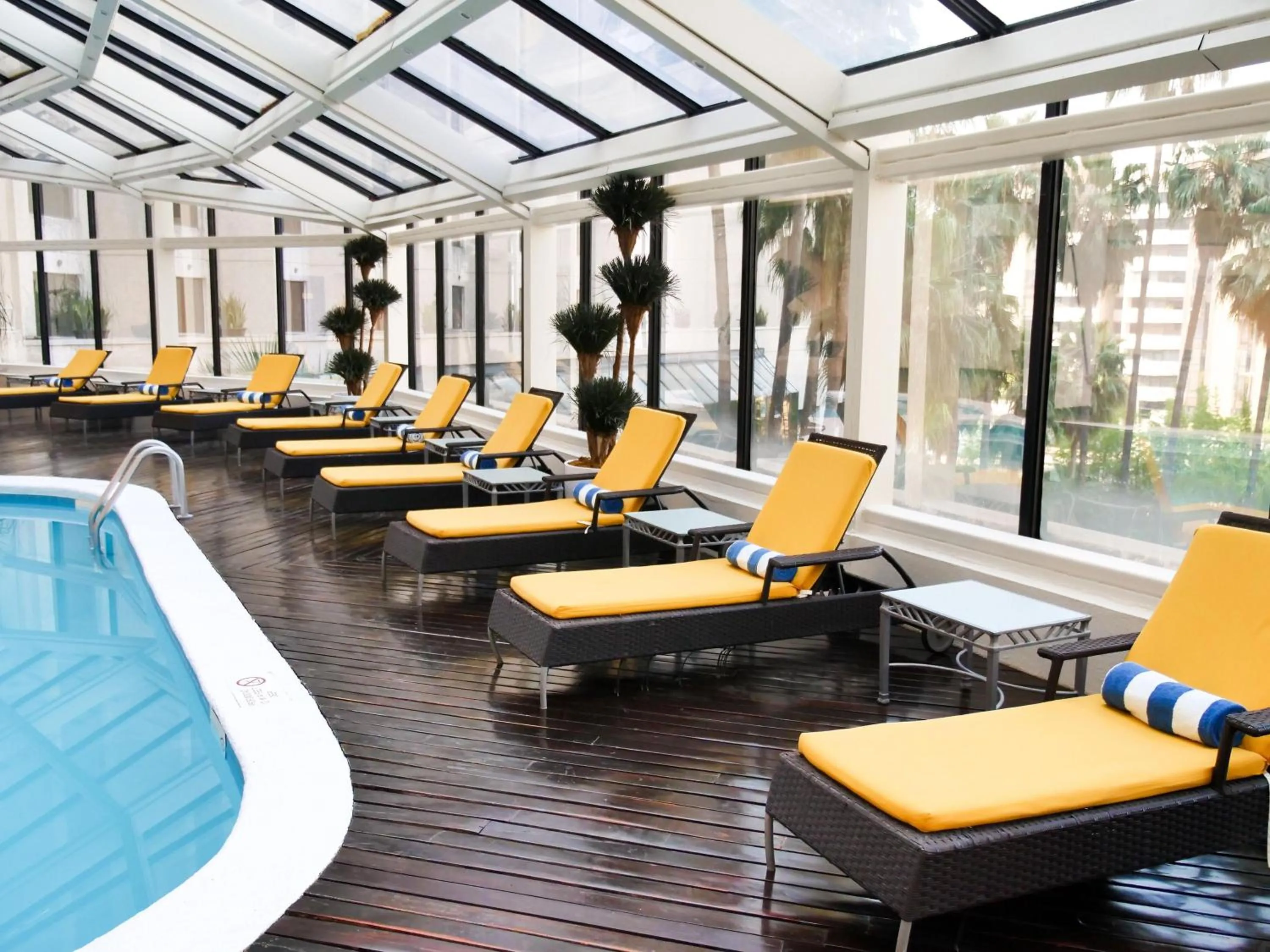 Pool view in MS Milenium Monterrey Curio Collection by Hilton