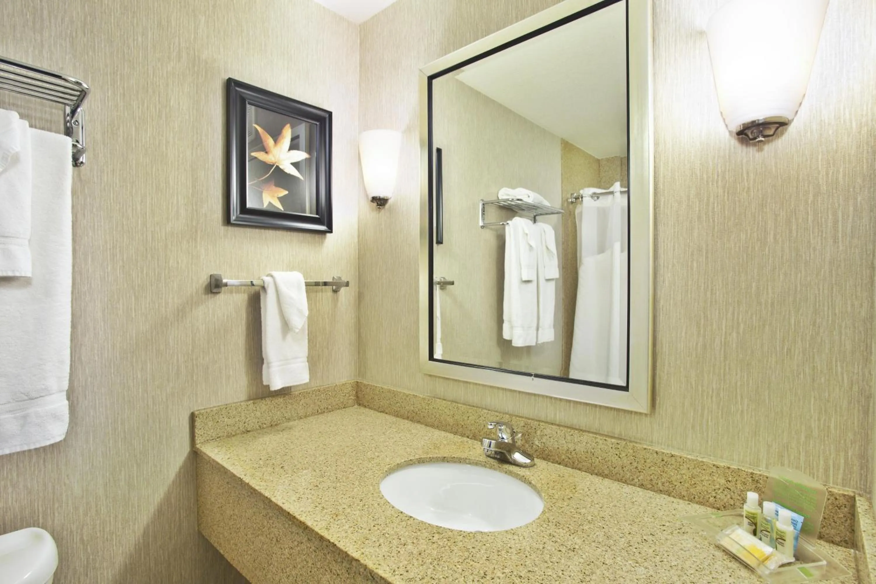 Bathroom in Holiday Inn & Suites Green Bay Stadium by IHG