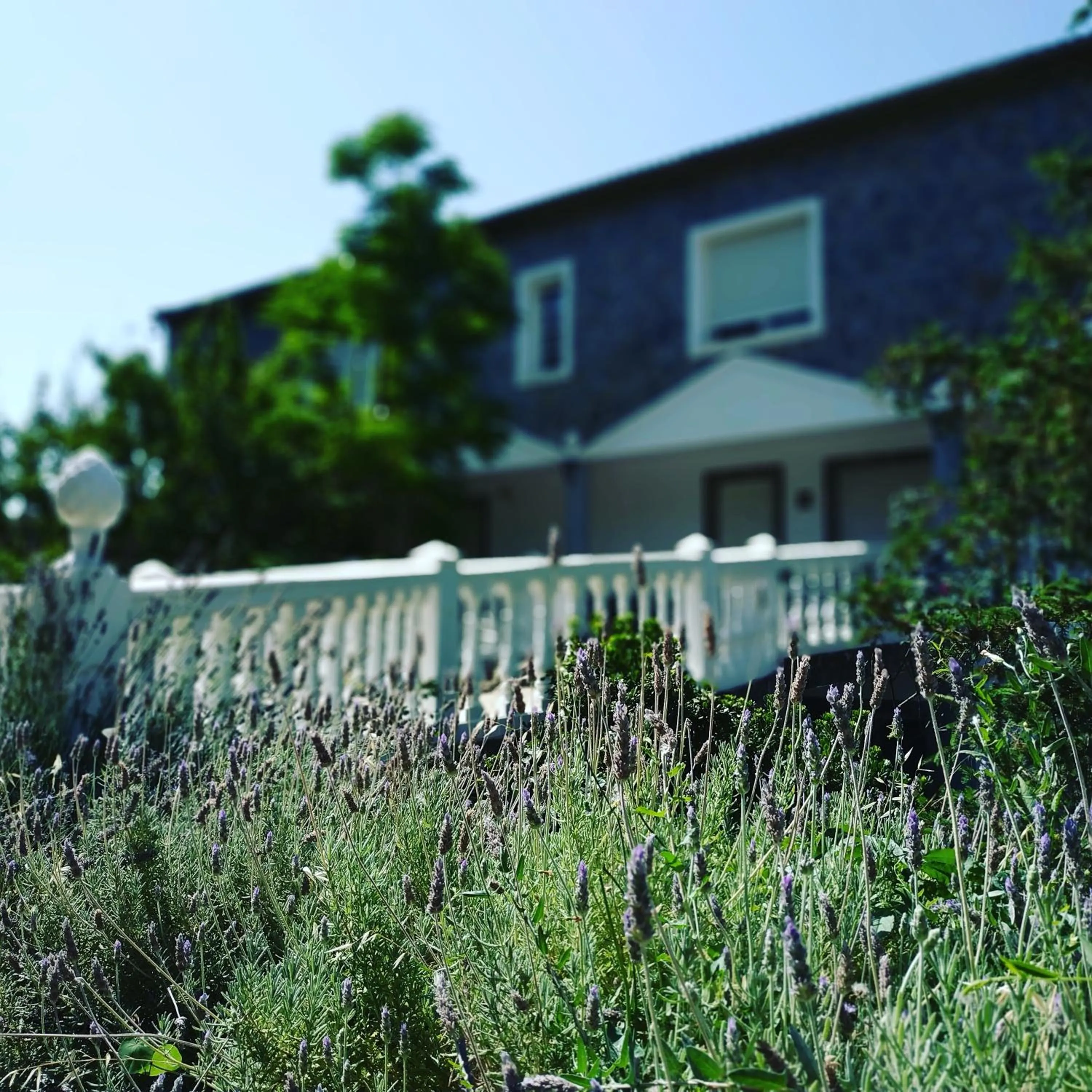 Garden in Villa Ignacia B&B - Naturaleza entre Ronda & Setenil