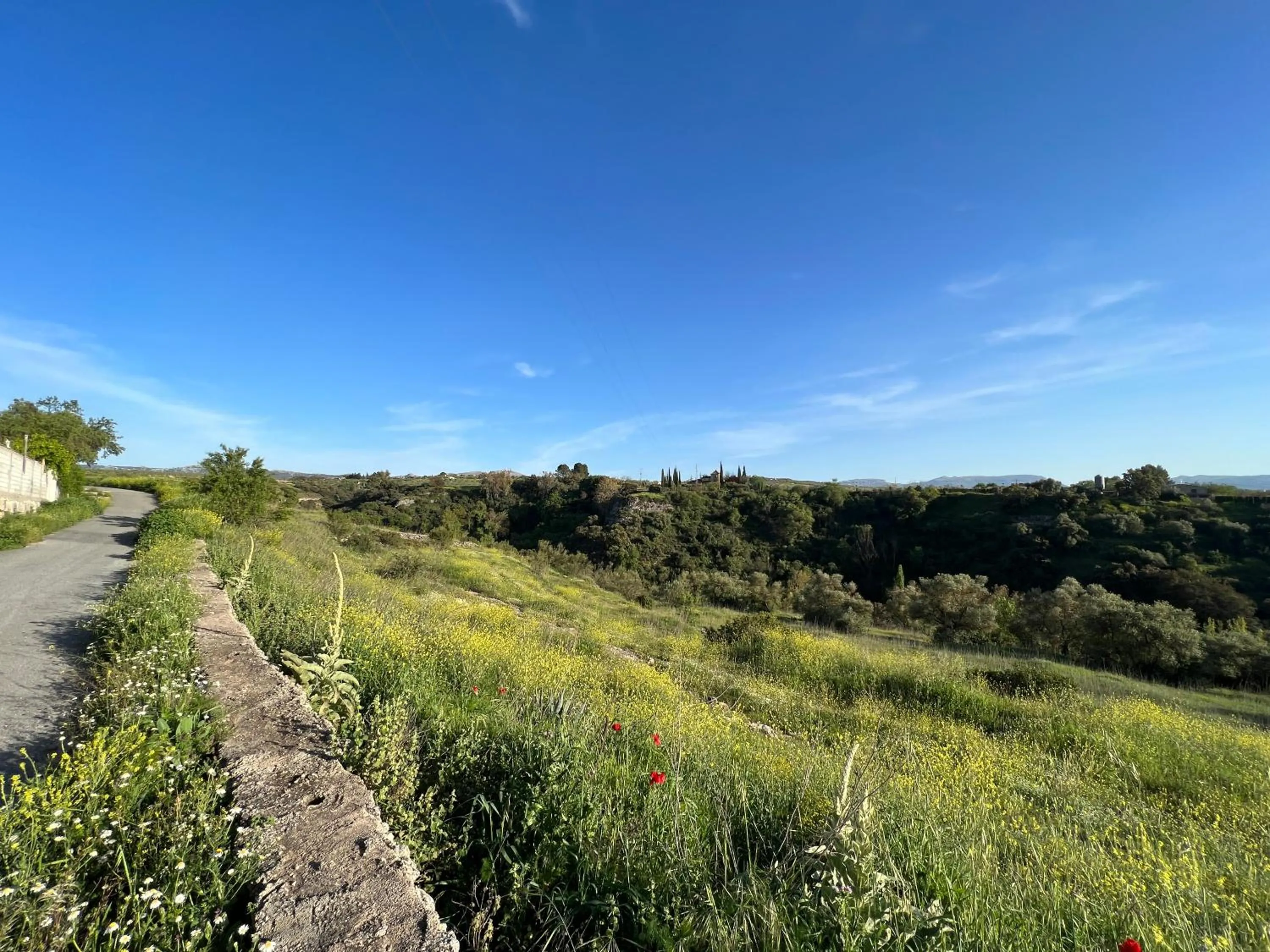 Villa Ignacia B&B - Naturaleza entre Ronda & Setenil
