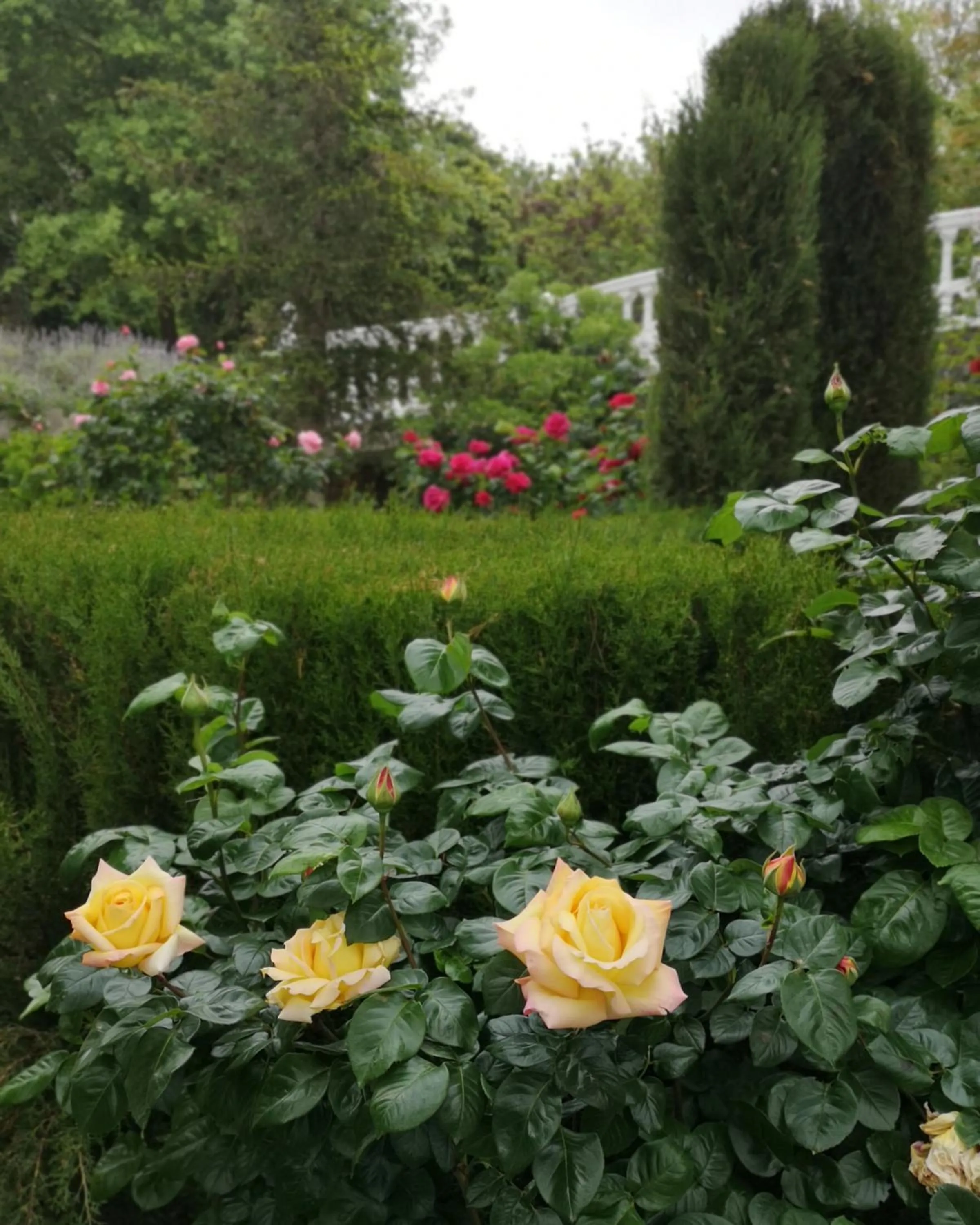 Garden in Villa Ignacia B&B - Naturaleza entre Ronda & Setenil