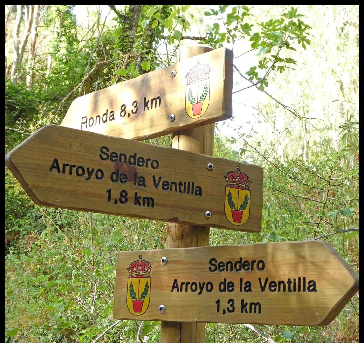 Natural landscape in Villa Ignacia B&B - Naturaleza entre Ronda & Setenil