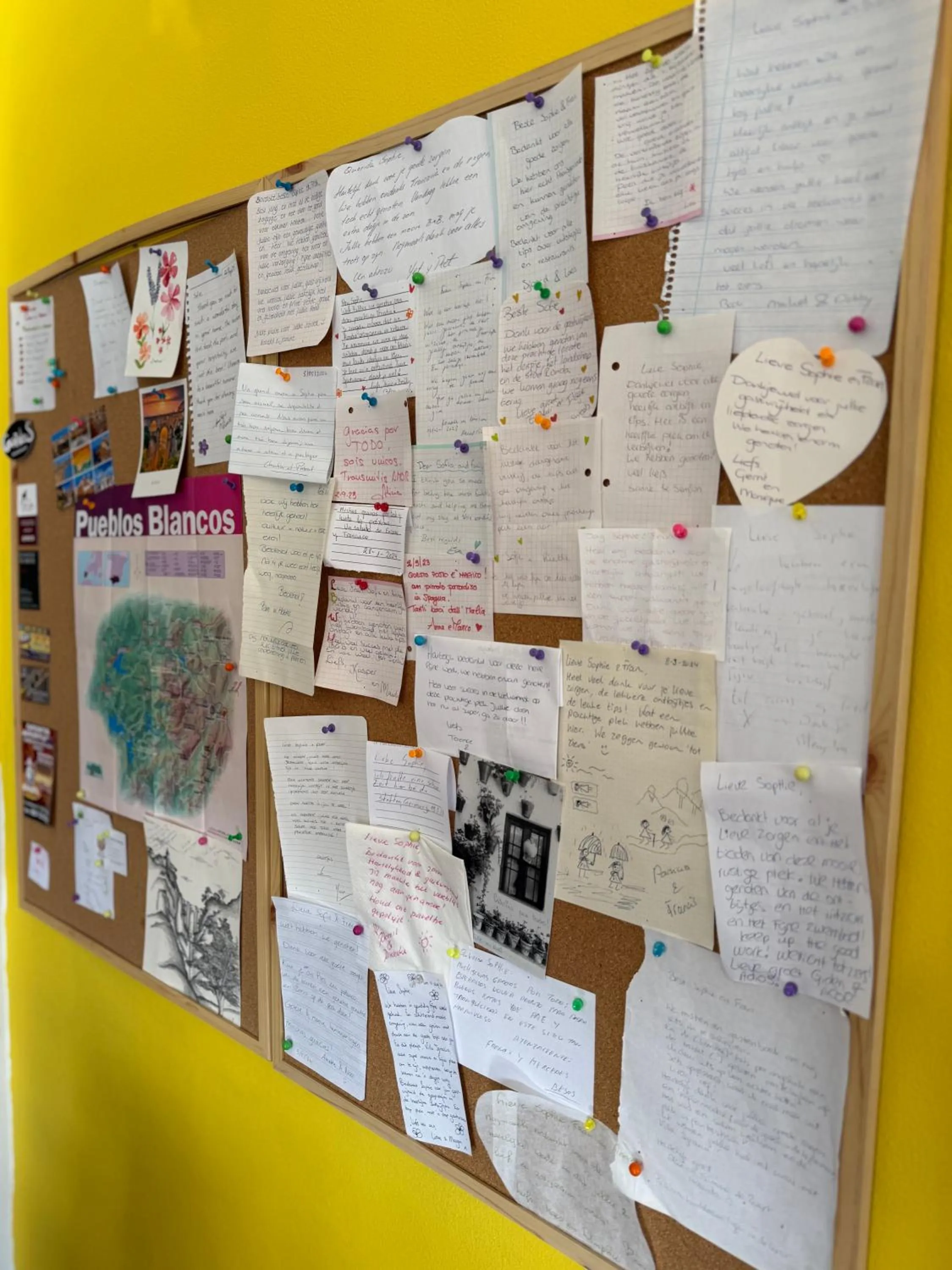 Villa Ignacia B&B - Naturaleza entre Ronda & Setenil