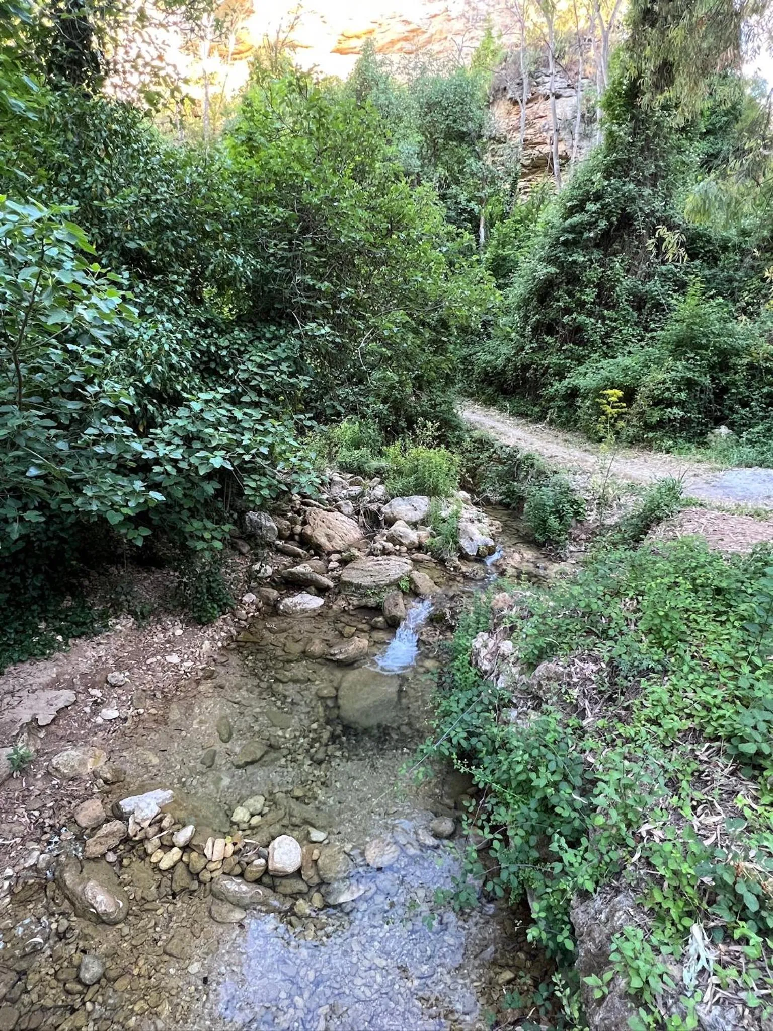 Villa Ignacia B&B - Naturaleza entre Ronda & Setenil