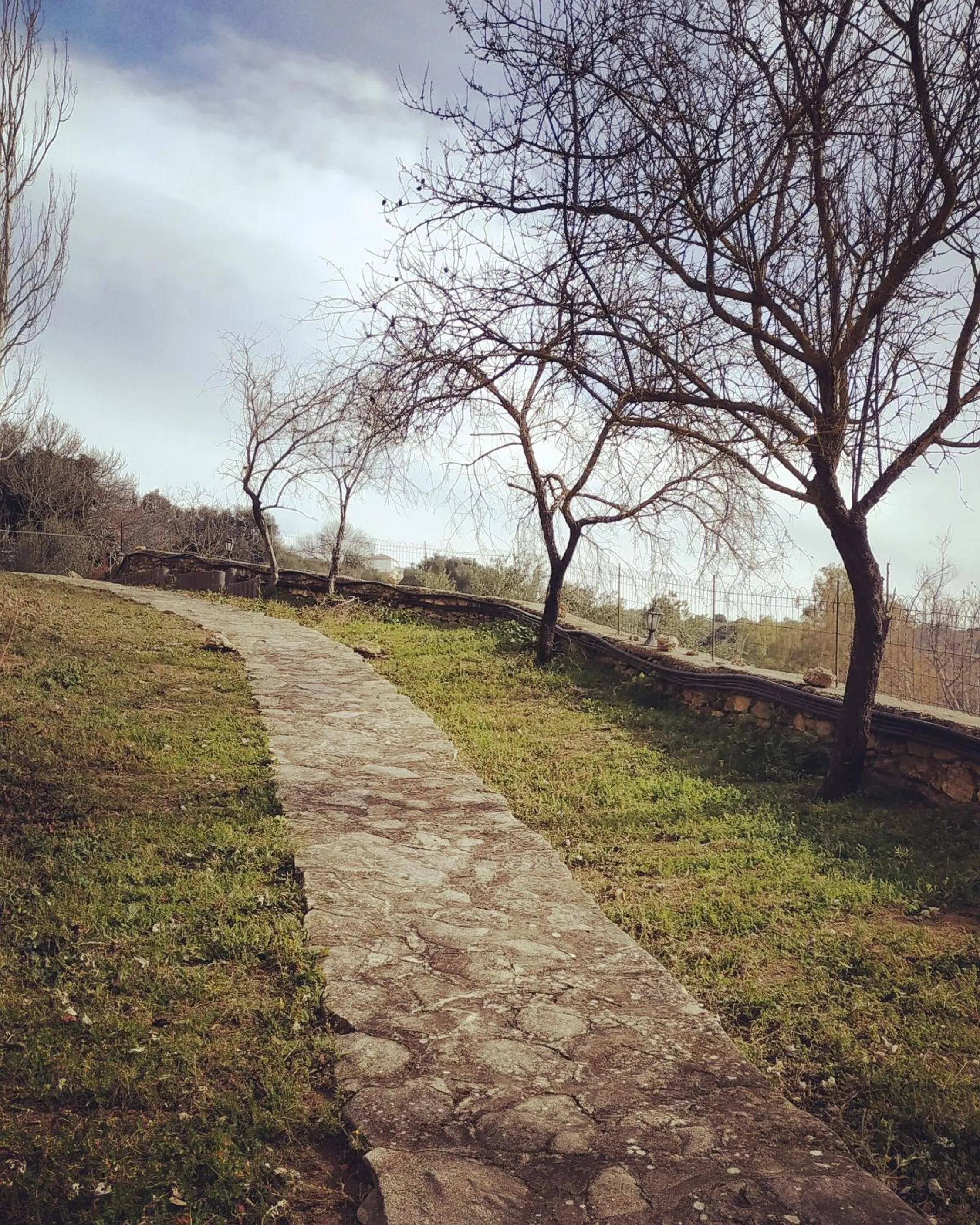Natural landscape in Villa Ignacia B&B - Naturaleza entre Ronda & Setenil