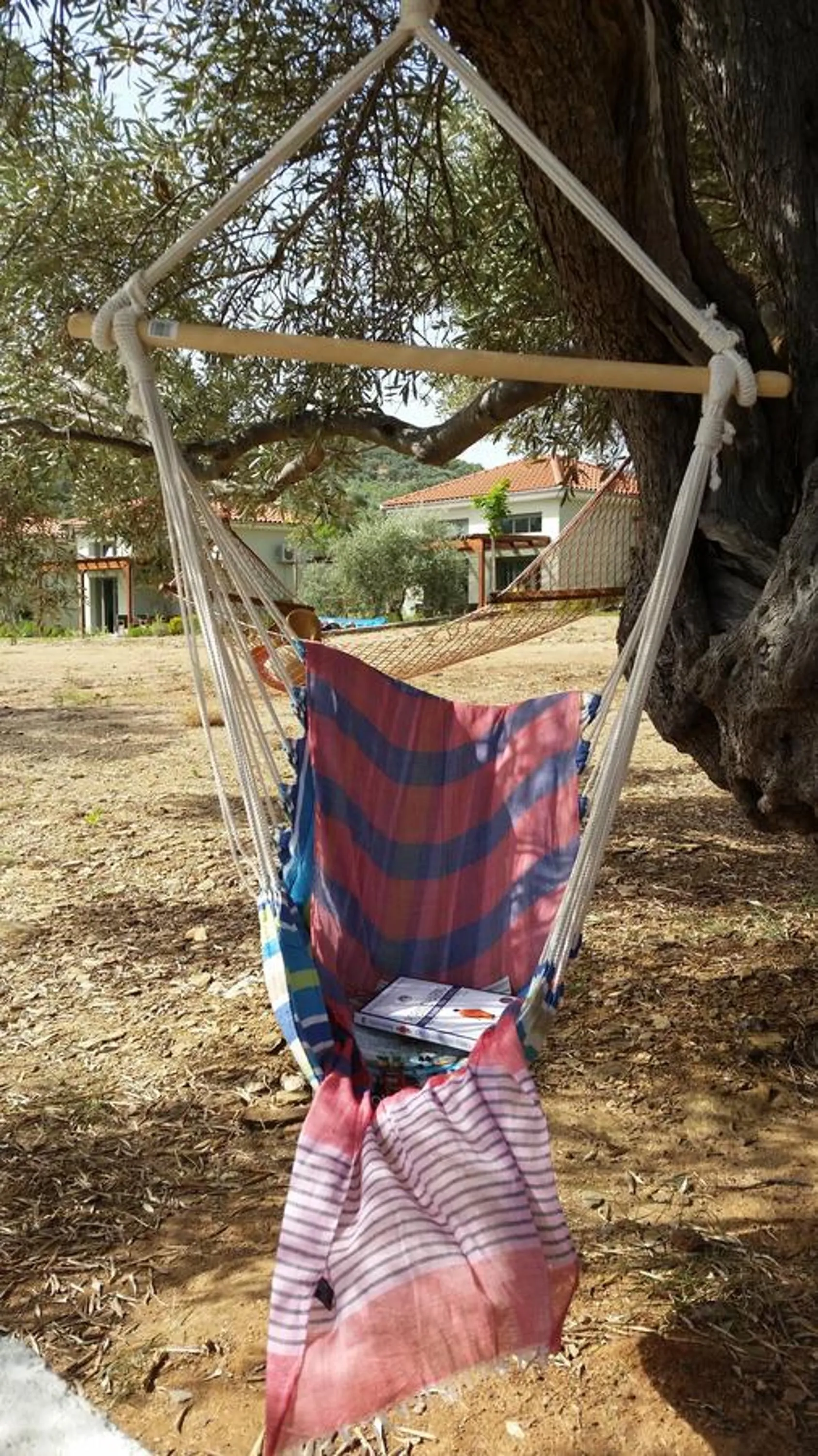 Entertainment in Thea Houses