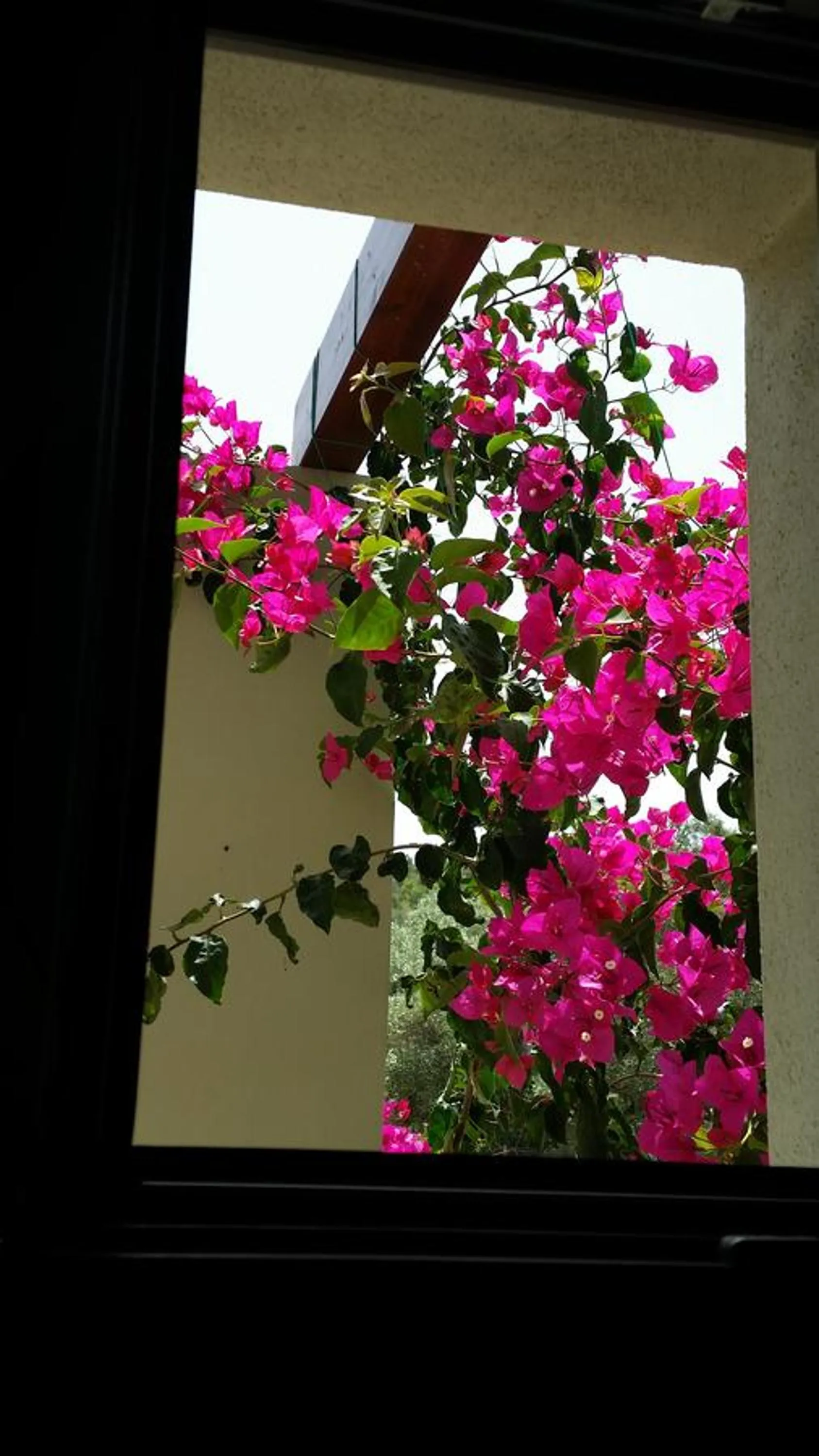 Decorative detail in Thea Houses