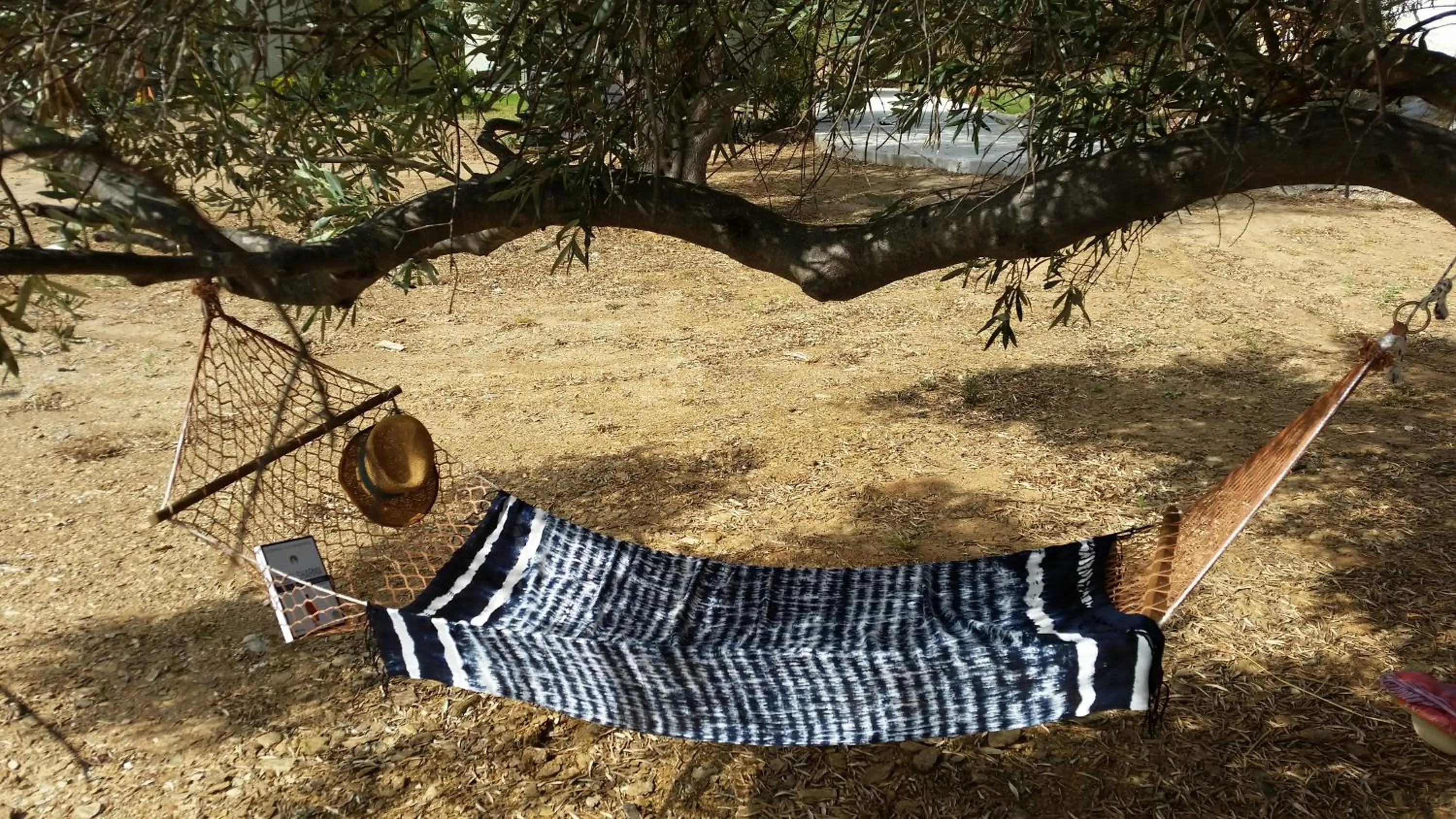 Entertainment in Thea Houses