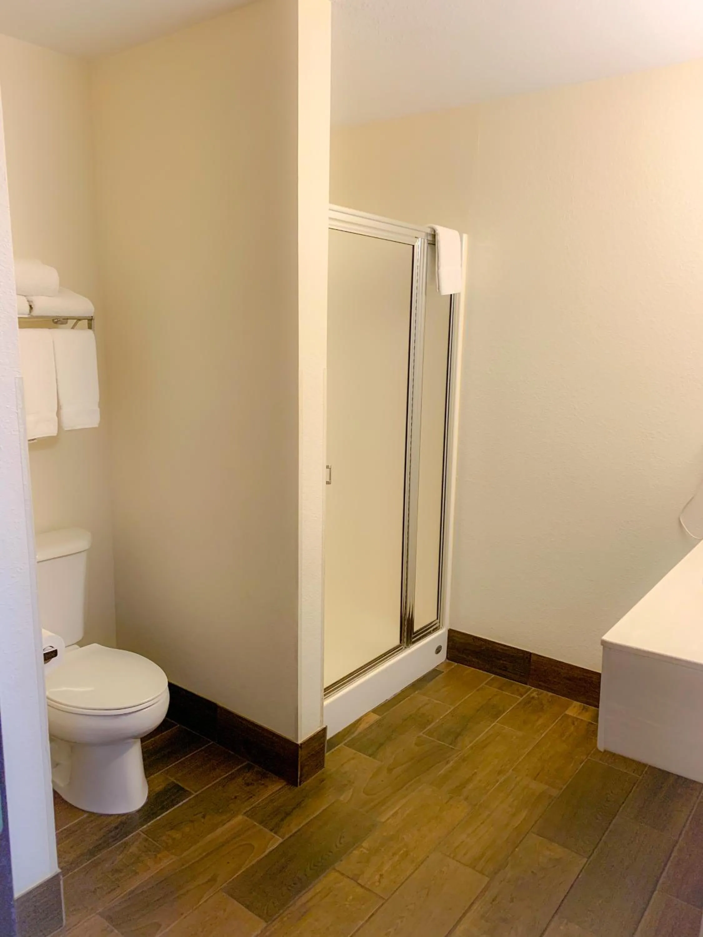 Shower in Baymont by Wyndham Chelsea