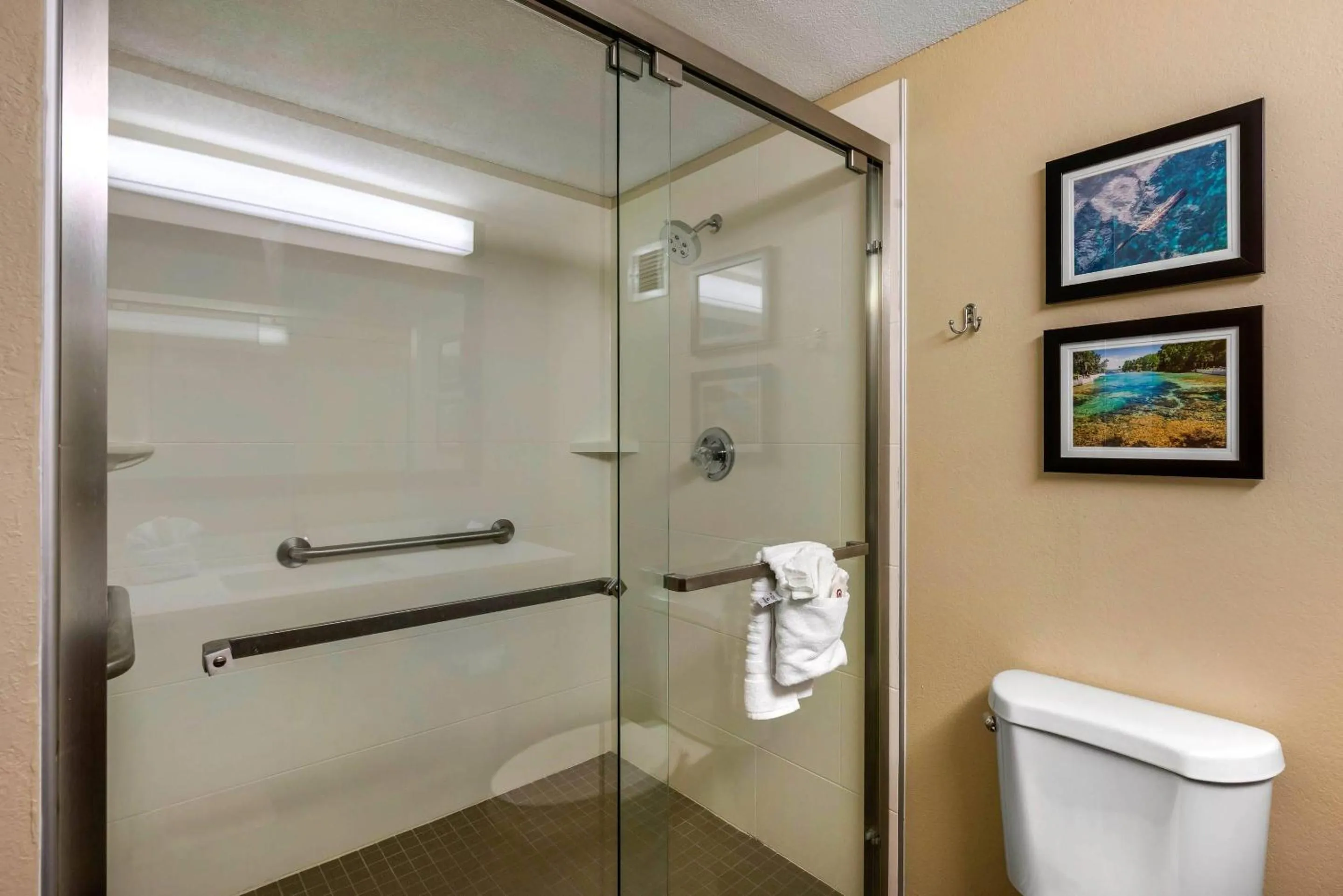 Bedroom in Comfort Inn Ocala Silver Springs