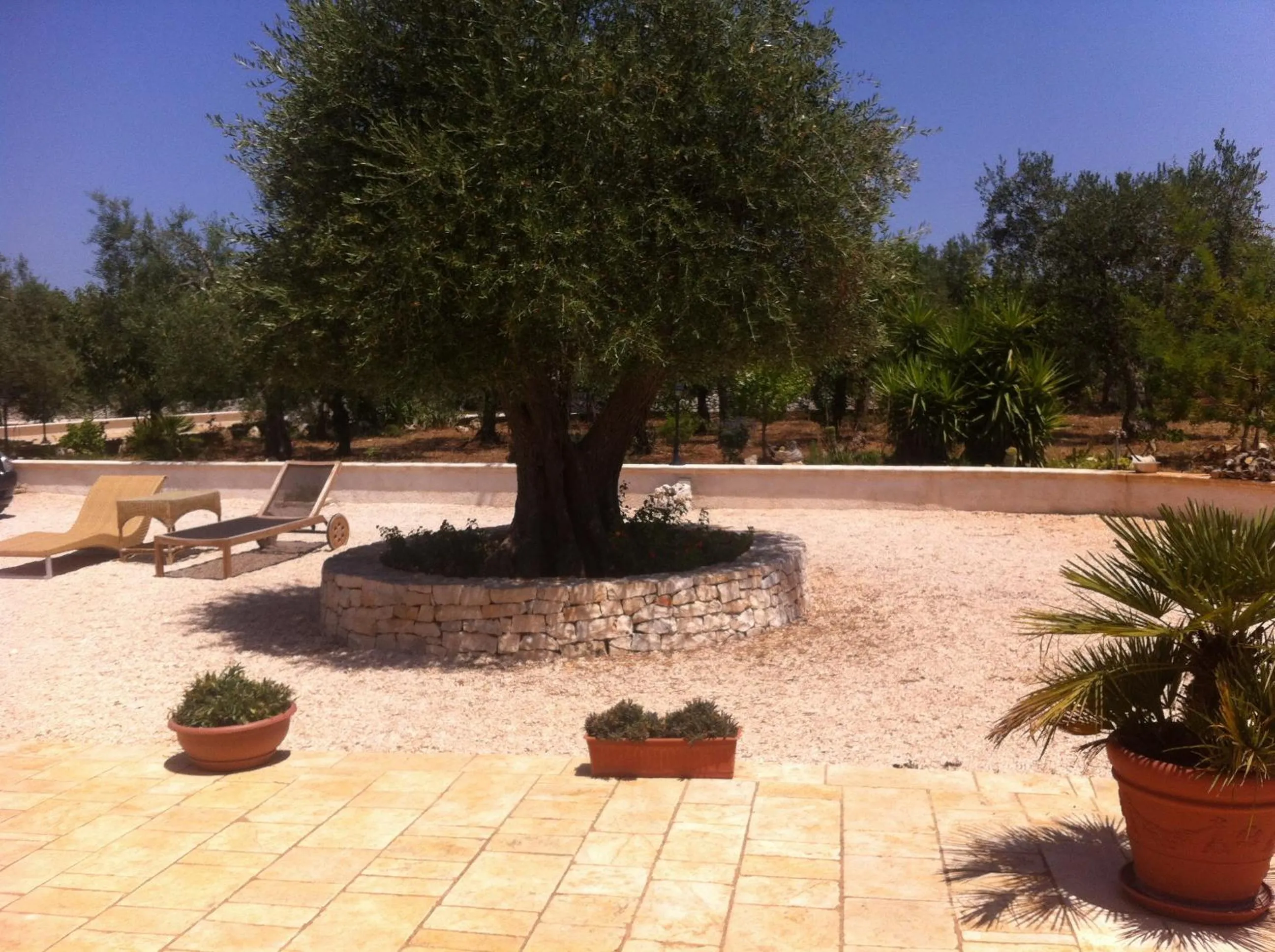 Natural landscape in Il Trullo di Giulietta