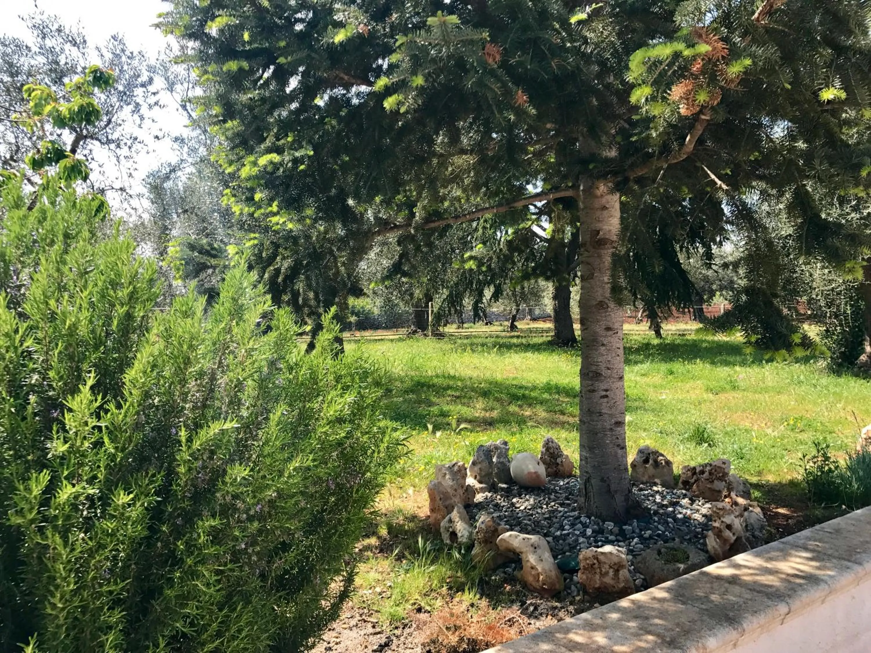 Garden in Il Trullo di Giulietta