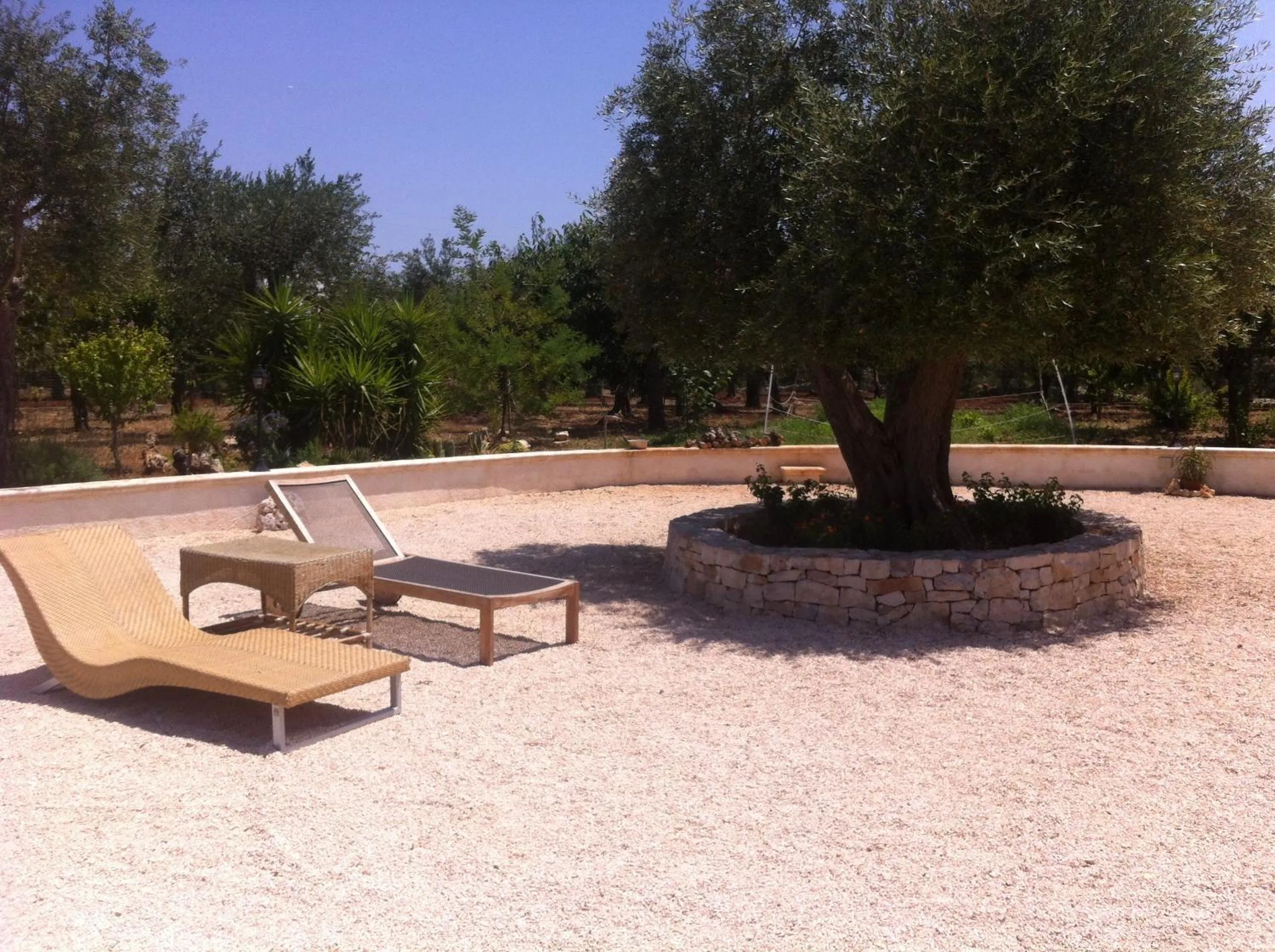 Garden in Il Trullo di Giulietta