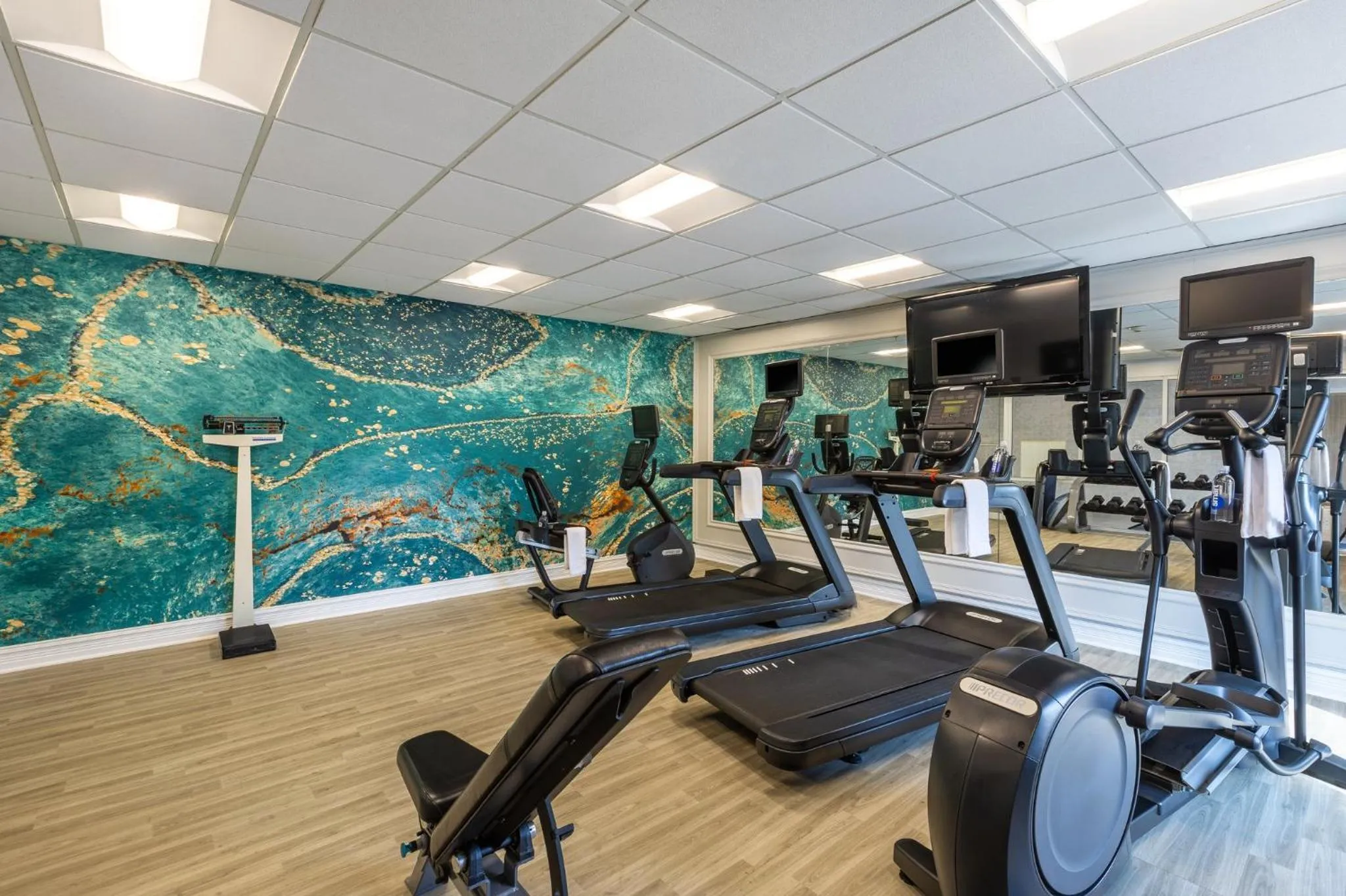 Fitness centre/facilities in Holiday Inn Anderson by IHG