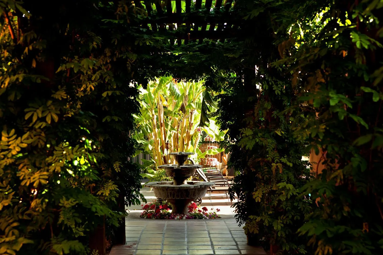 Garden in Hotel California