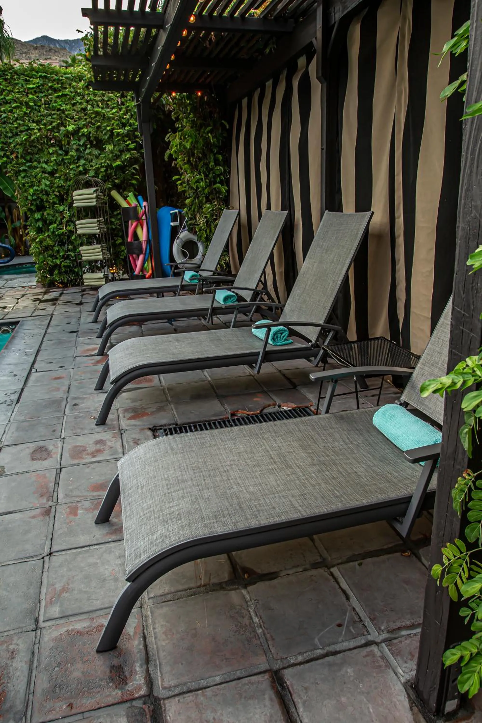 sunbed in Hotel California