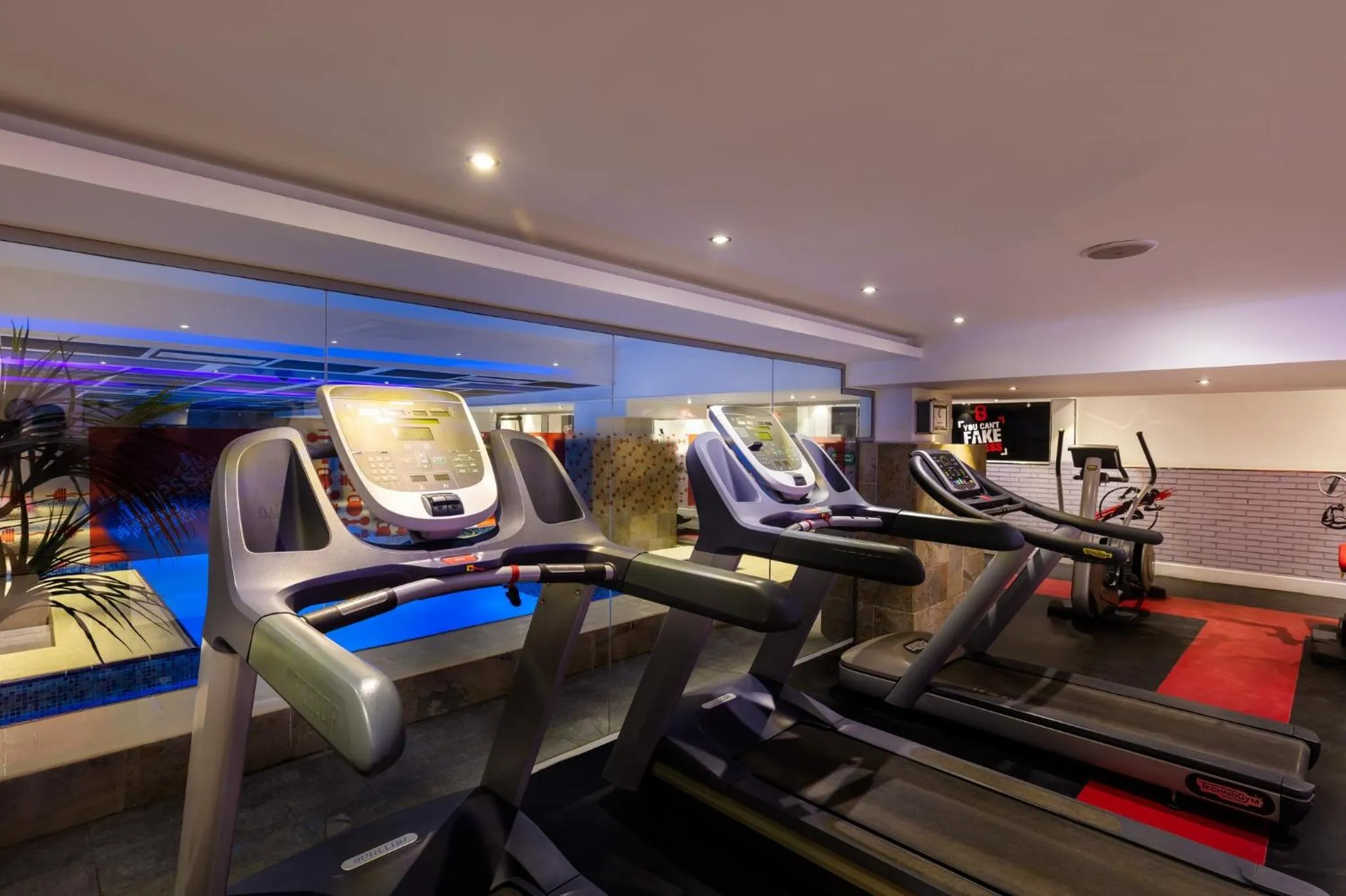 Fitness centre/facilities in Holiday Inn Riyadh Al Qasr by IHG