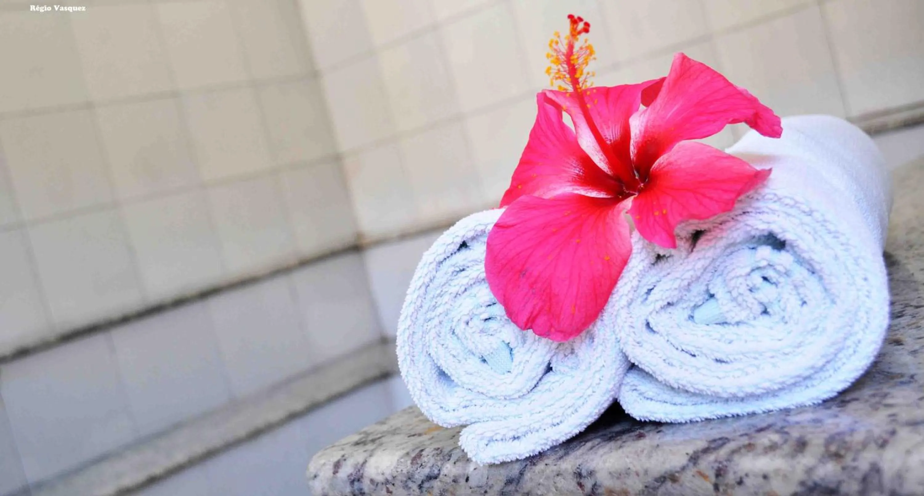 Sauna in Hotel Porto Garden