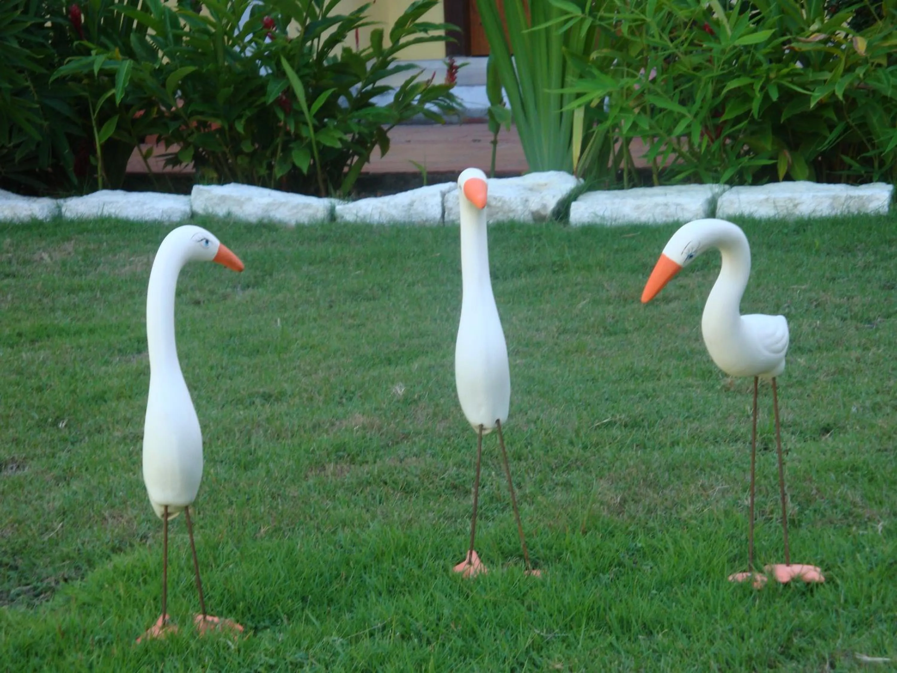 Garden view in Hotel Porto Garden