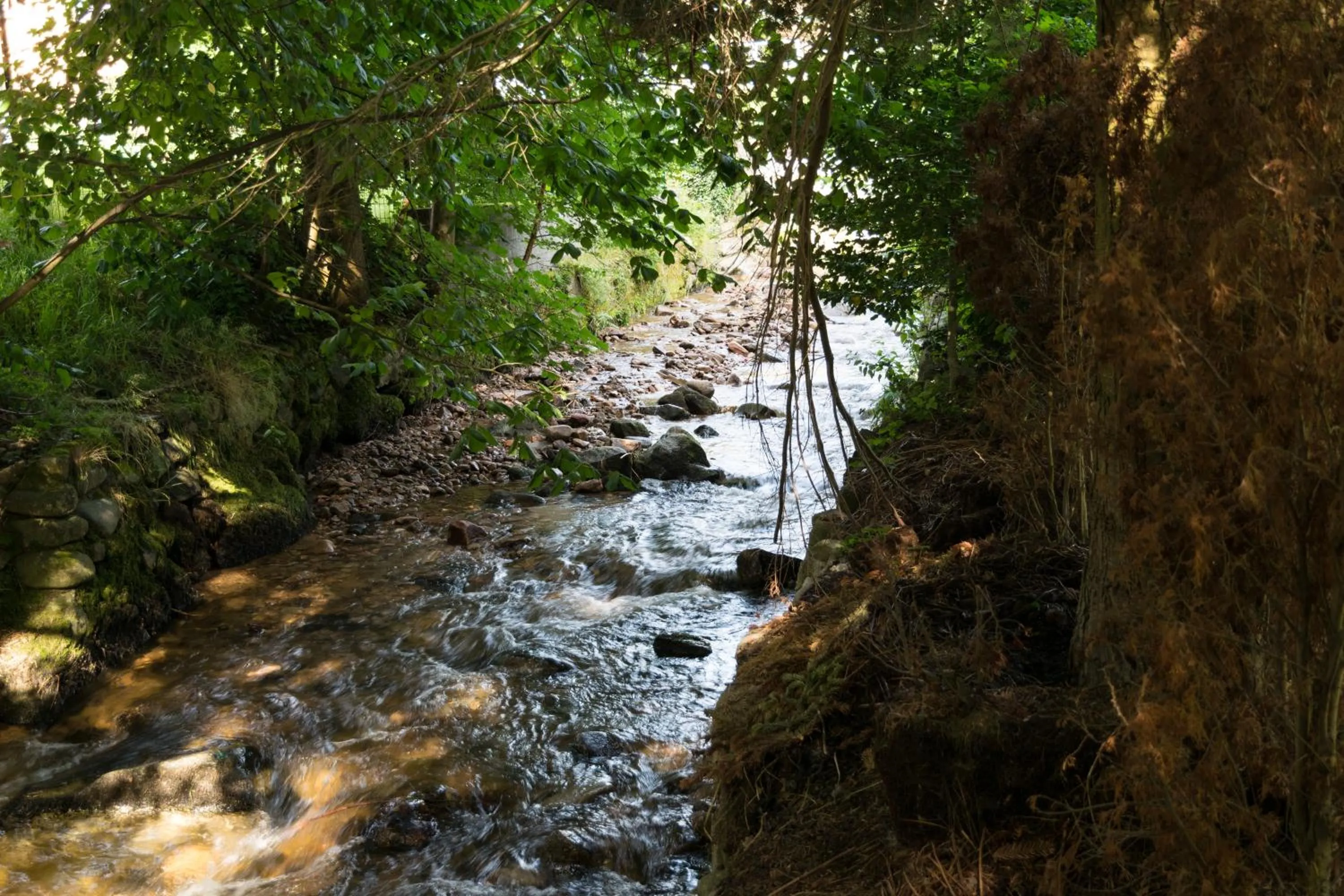 Garden, Natural Landscape in Hotel Restaurant le Faudé