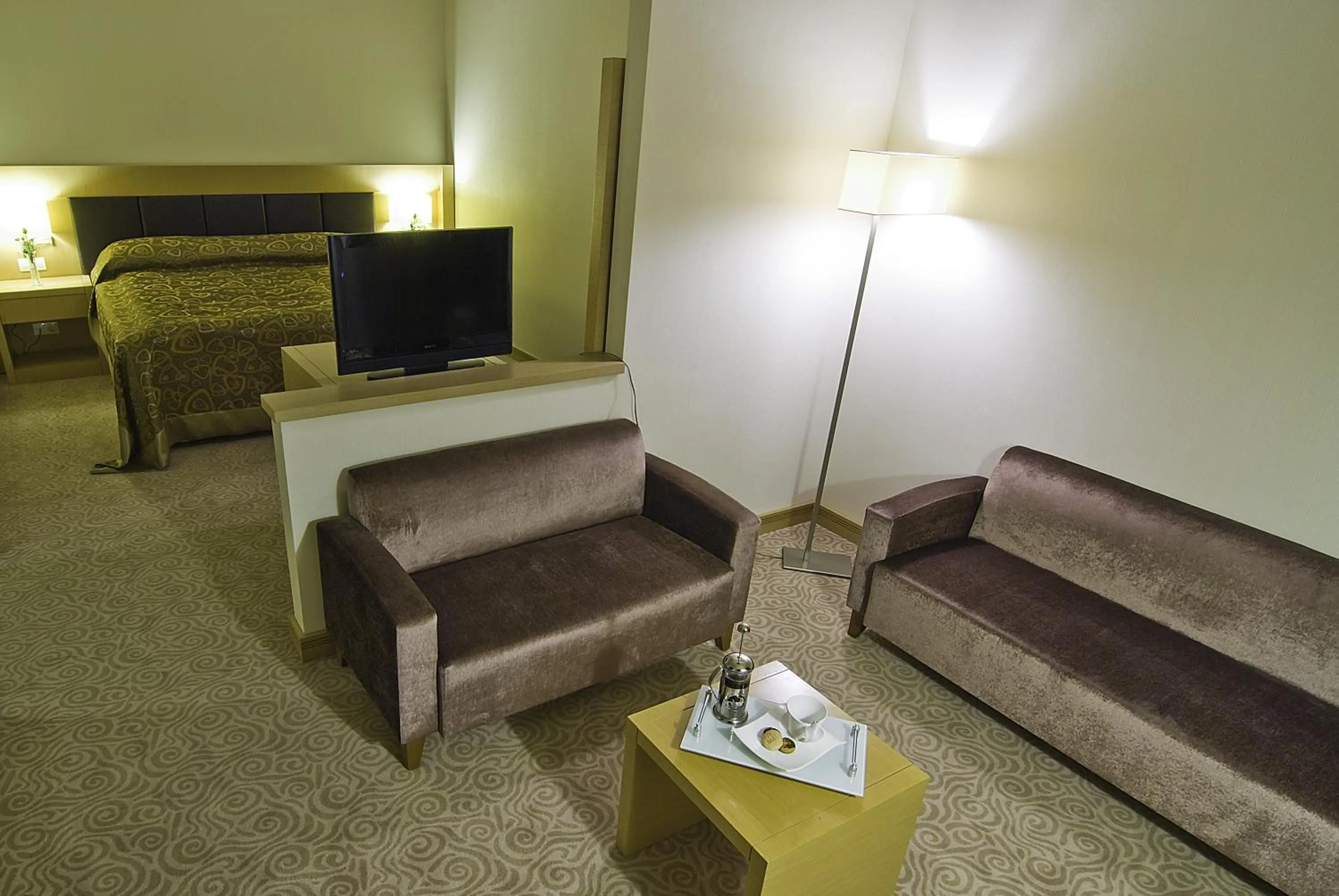 Living room in Adrina Termal Health & SPA Hotel