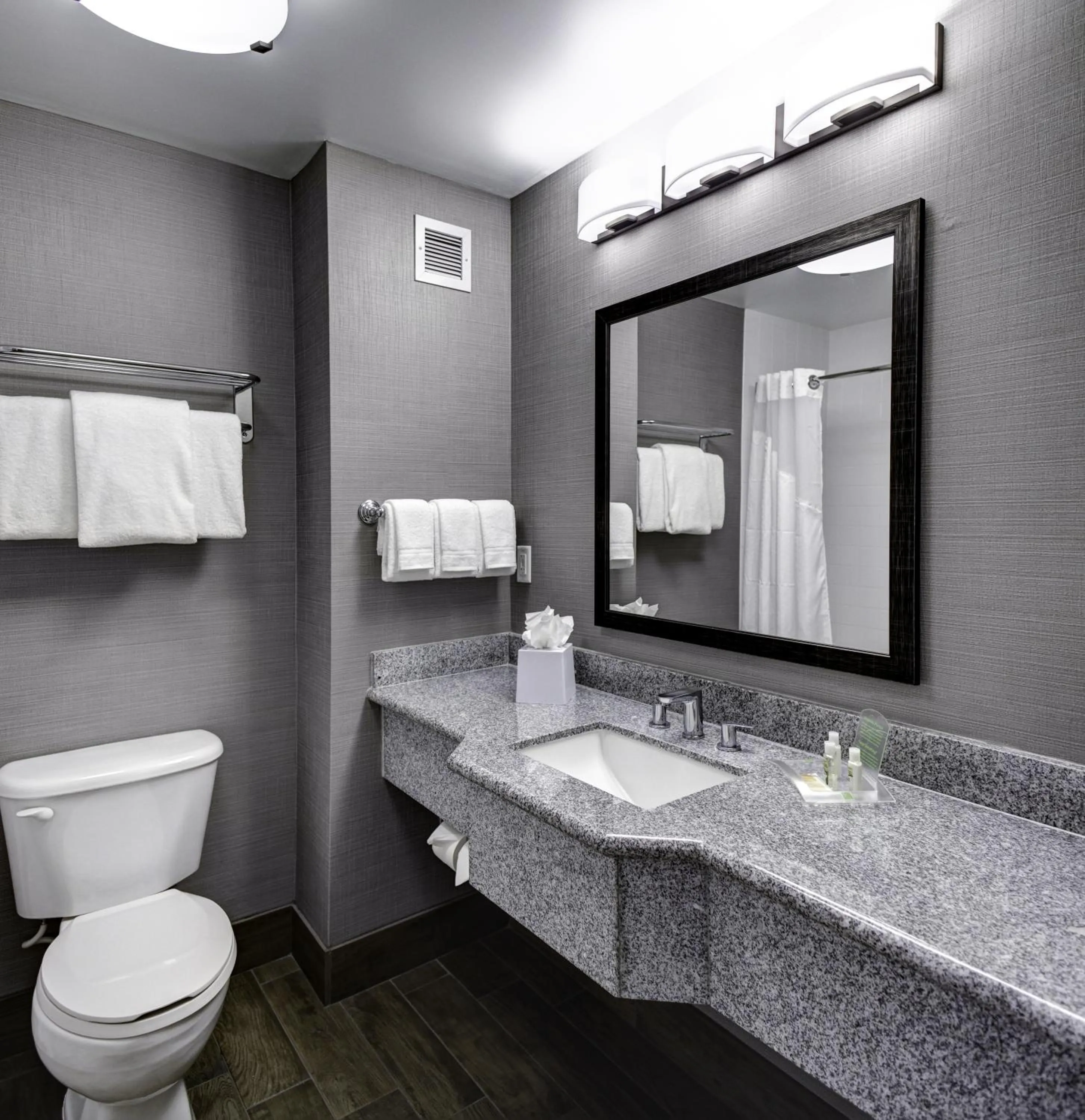 Bathroom in Holiday Inn Savannah Historic District by IHG
