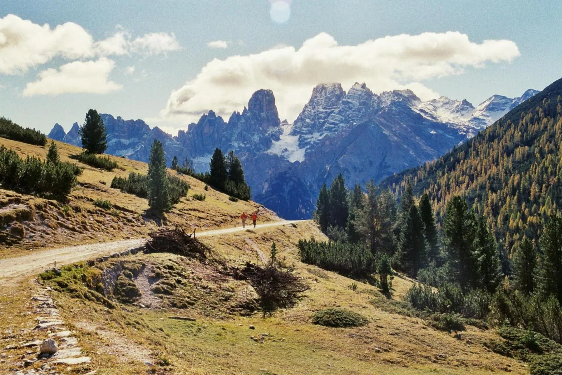 Natural landscape in Pension Panorama