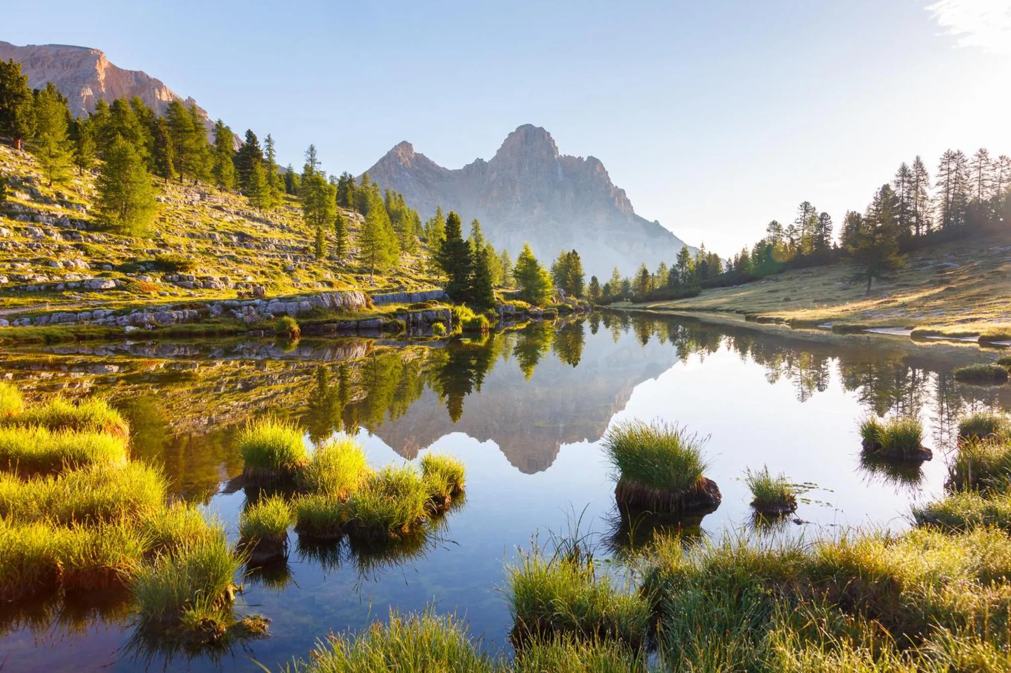 Natural landscape in Pension Panorama