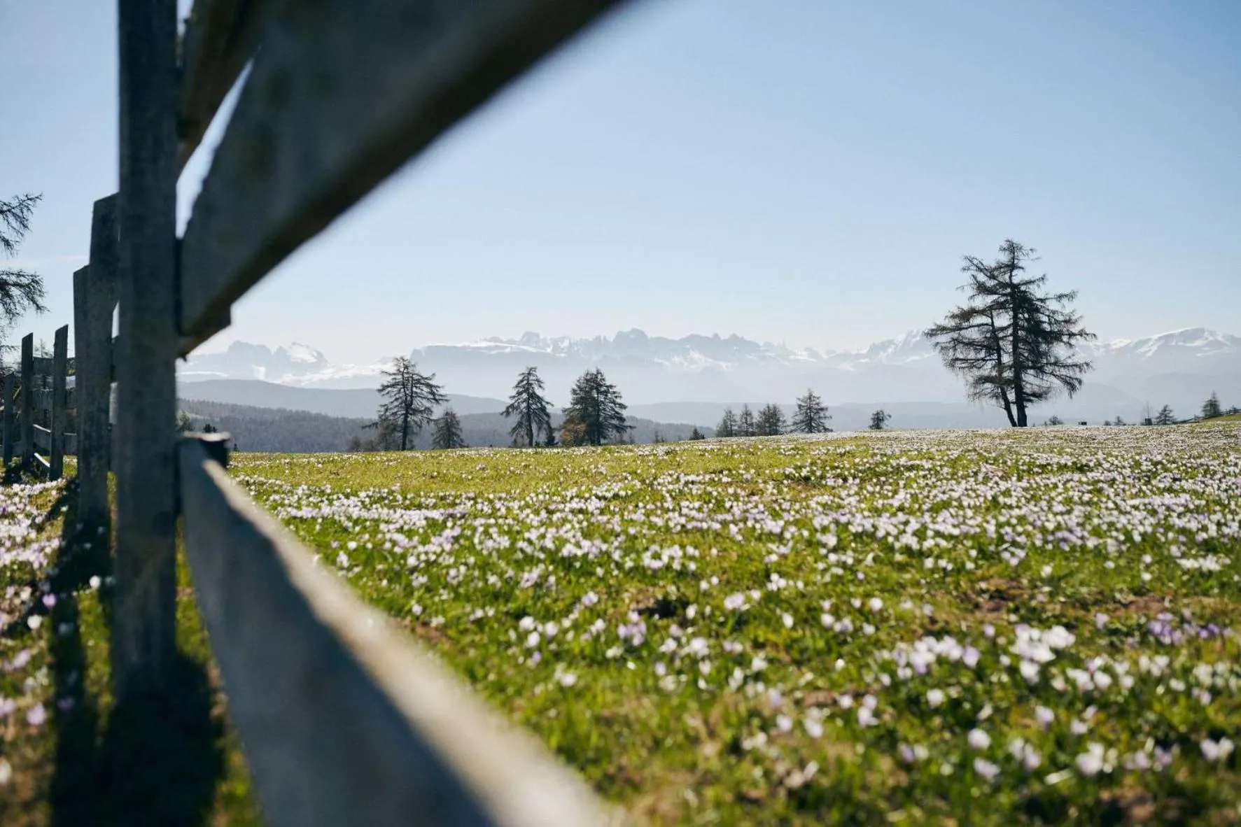 Natural landscape in Pension Panorama