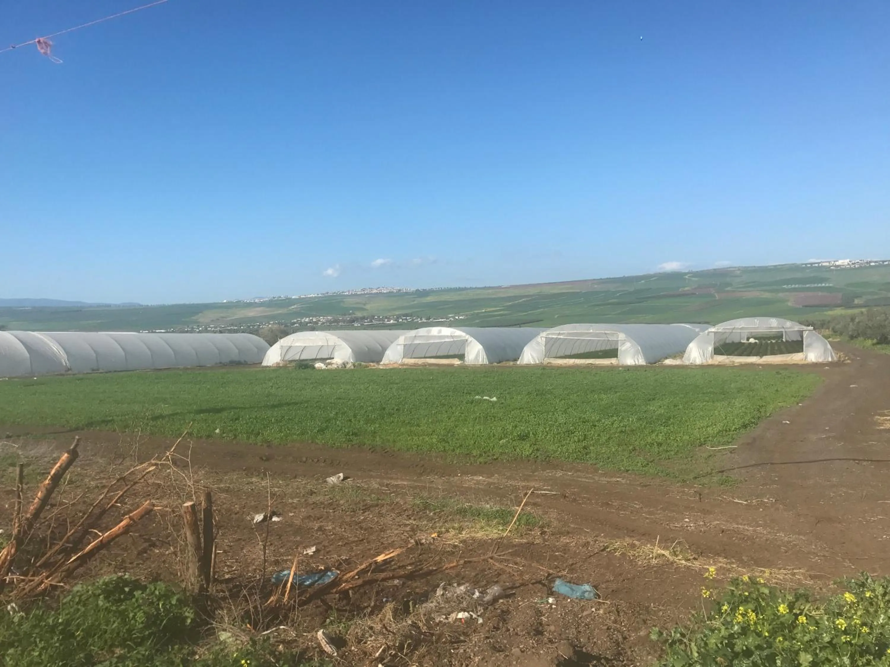 Other in Zimmer BaSadot