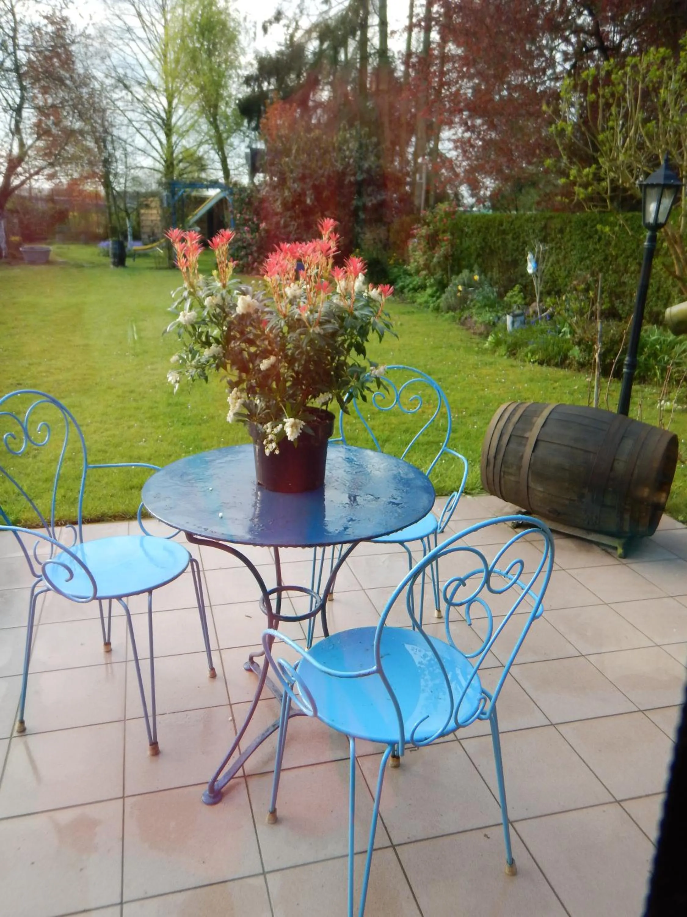 Spring in La Chrysalide