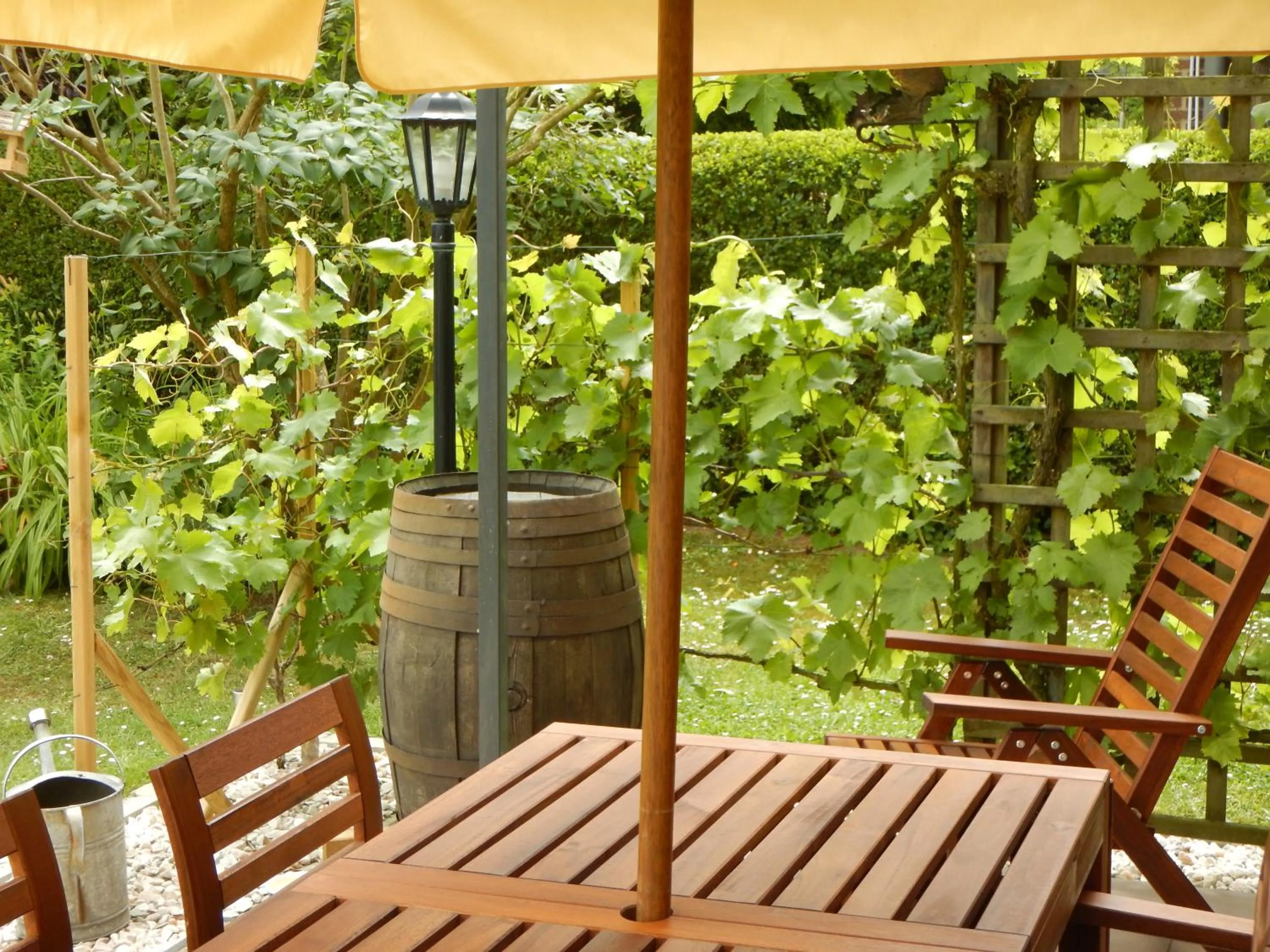 Summer in La Chrysalide