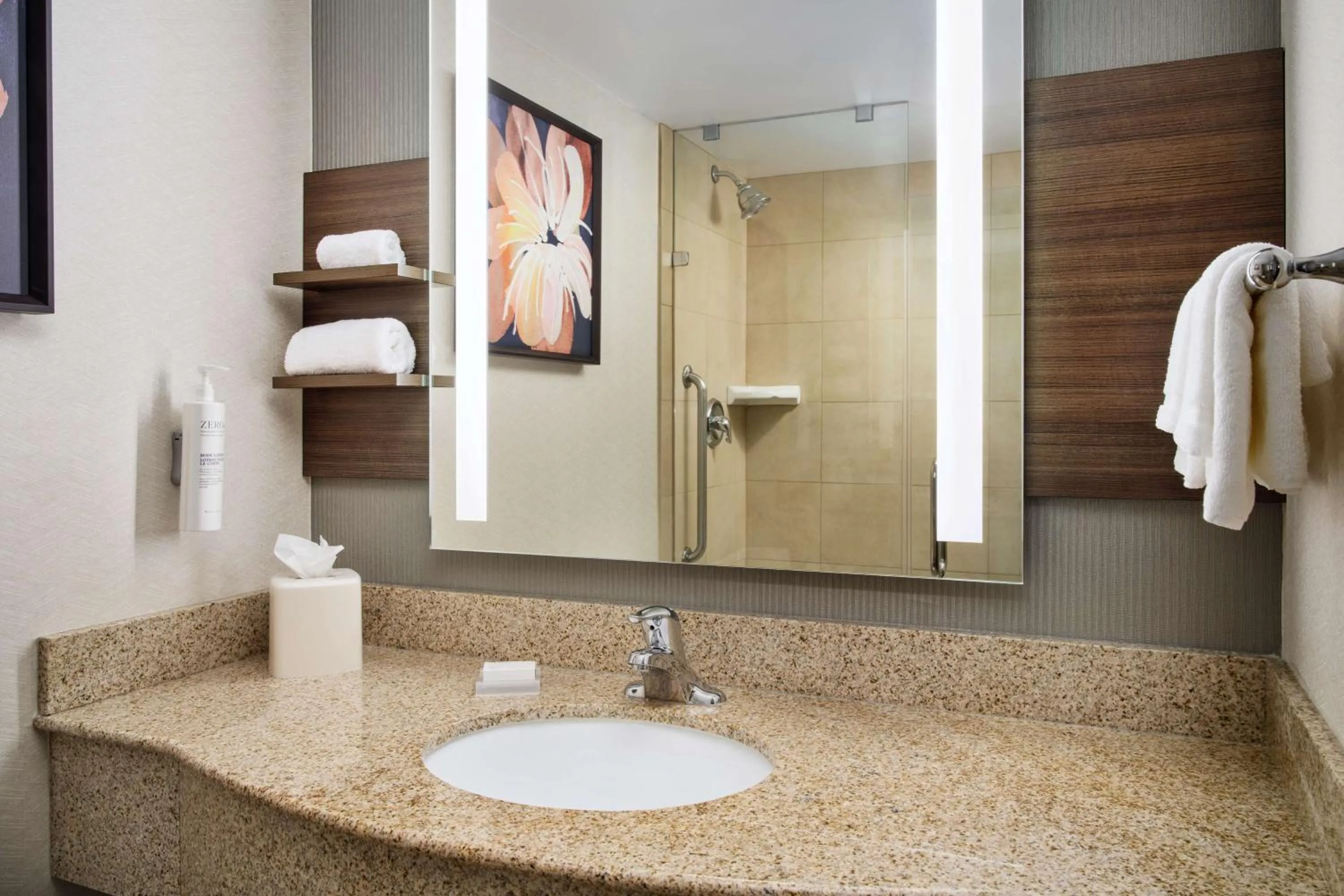 Bathroom in Hilton Garden Inn Schaumburg